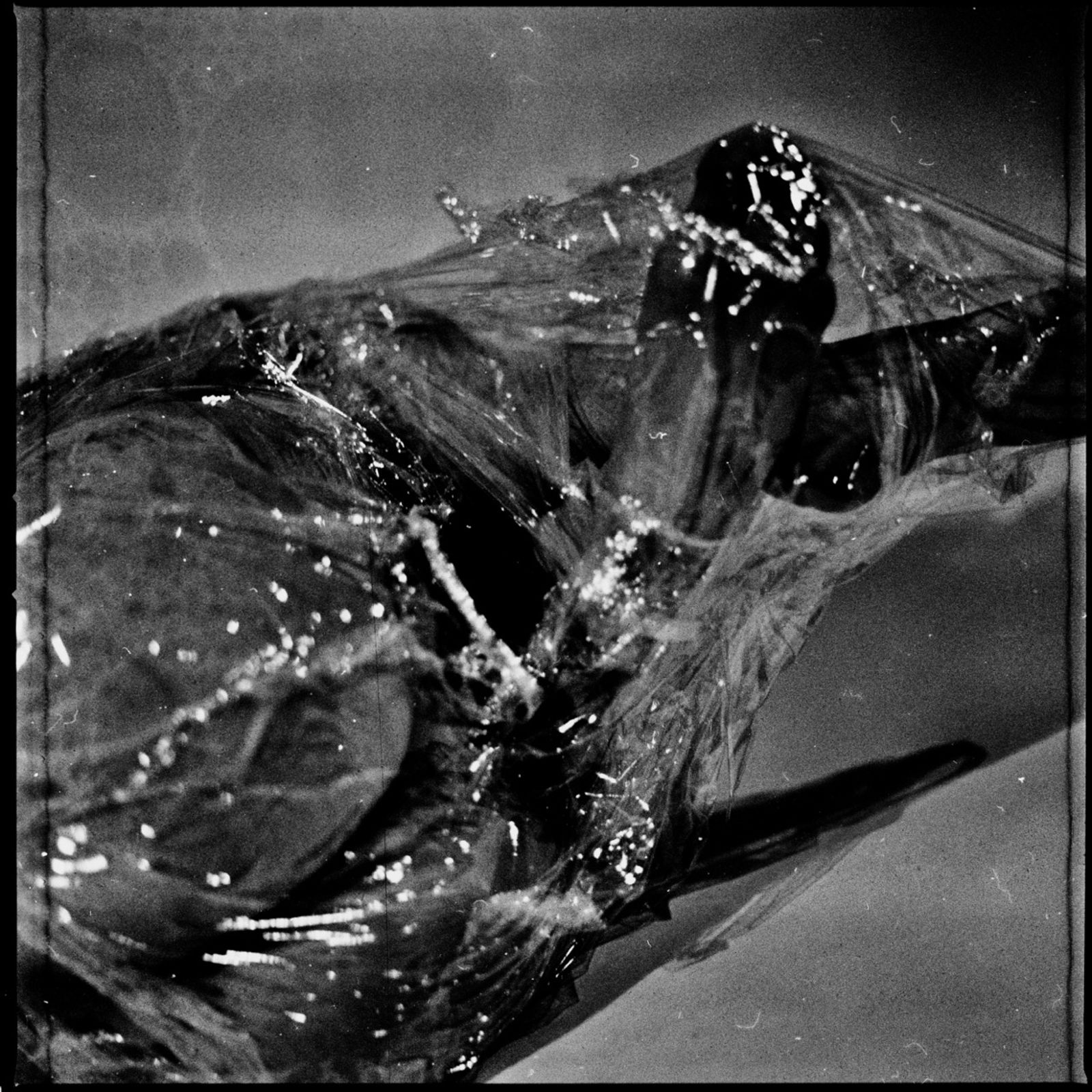 © Ema Širec - Image from the MEAT photography project