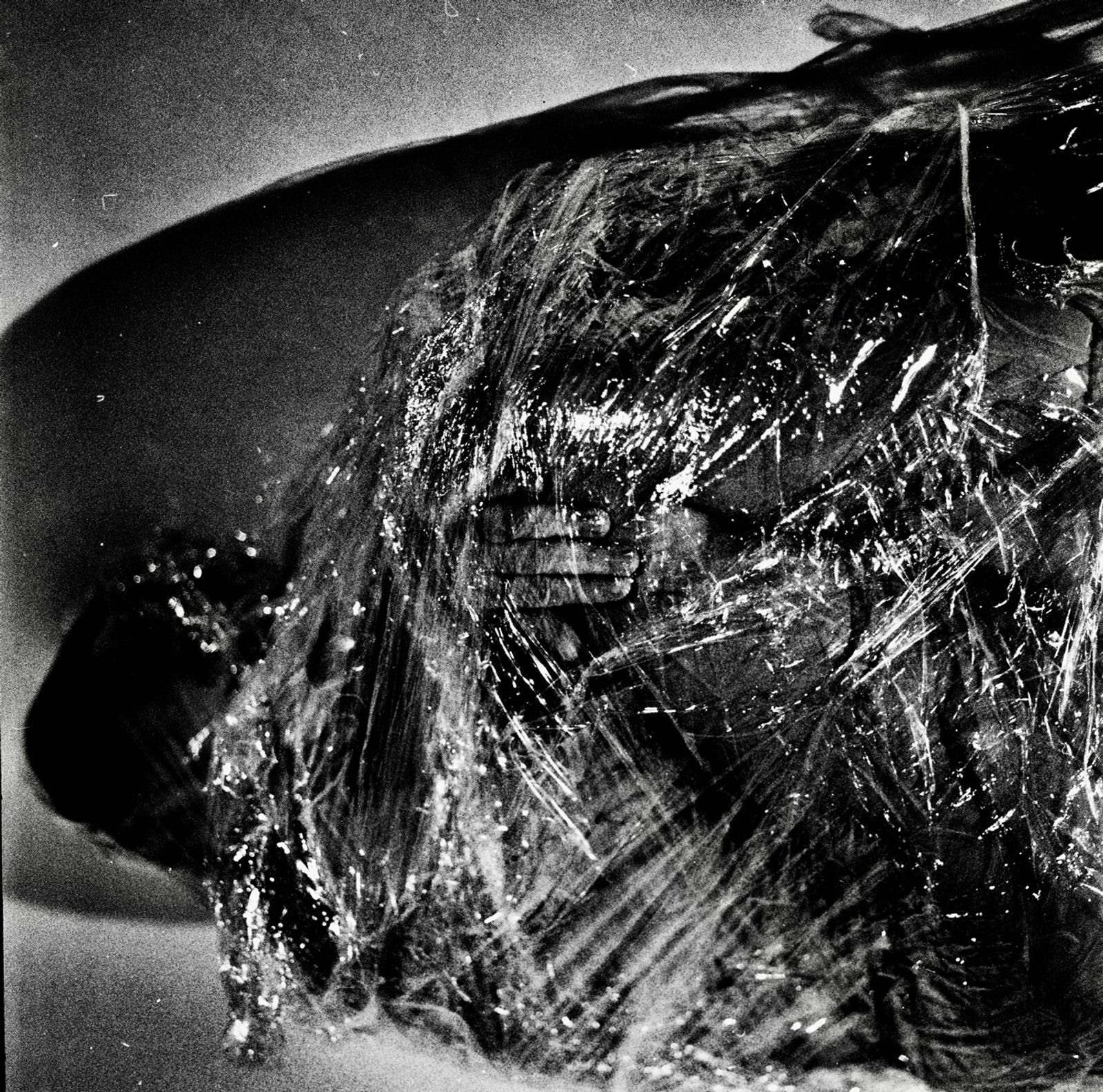 © Ema Širec - Image from the MEAT photography project