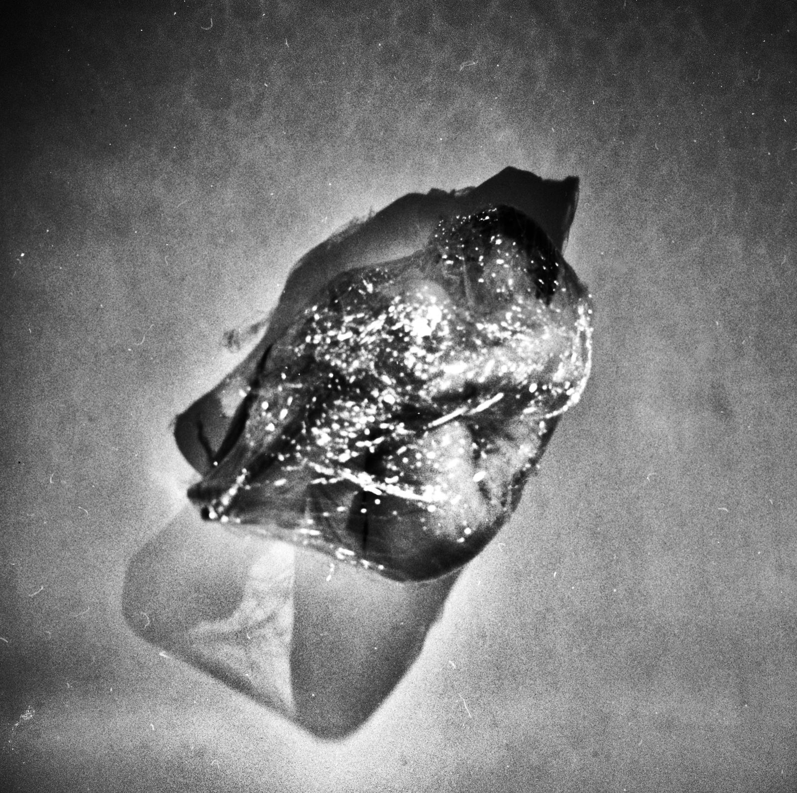 © Ema Širec - Image from the MEAT photography project