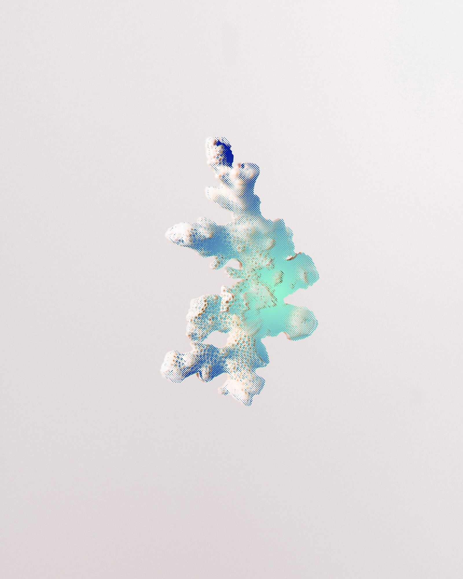 © Marie Lukasiewicz - Image from the Beyond Coral White photography project