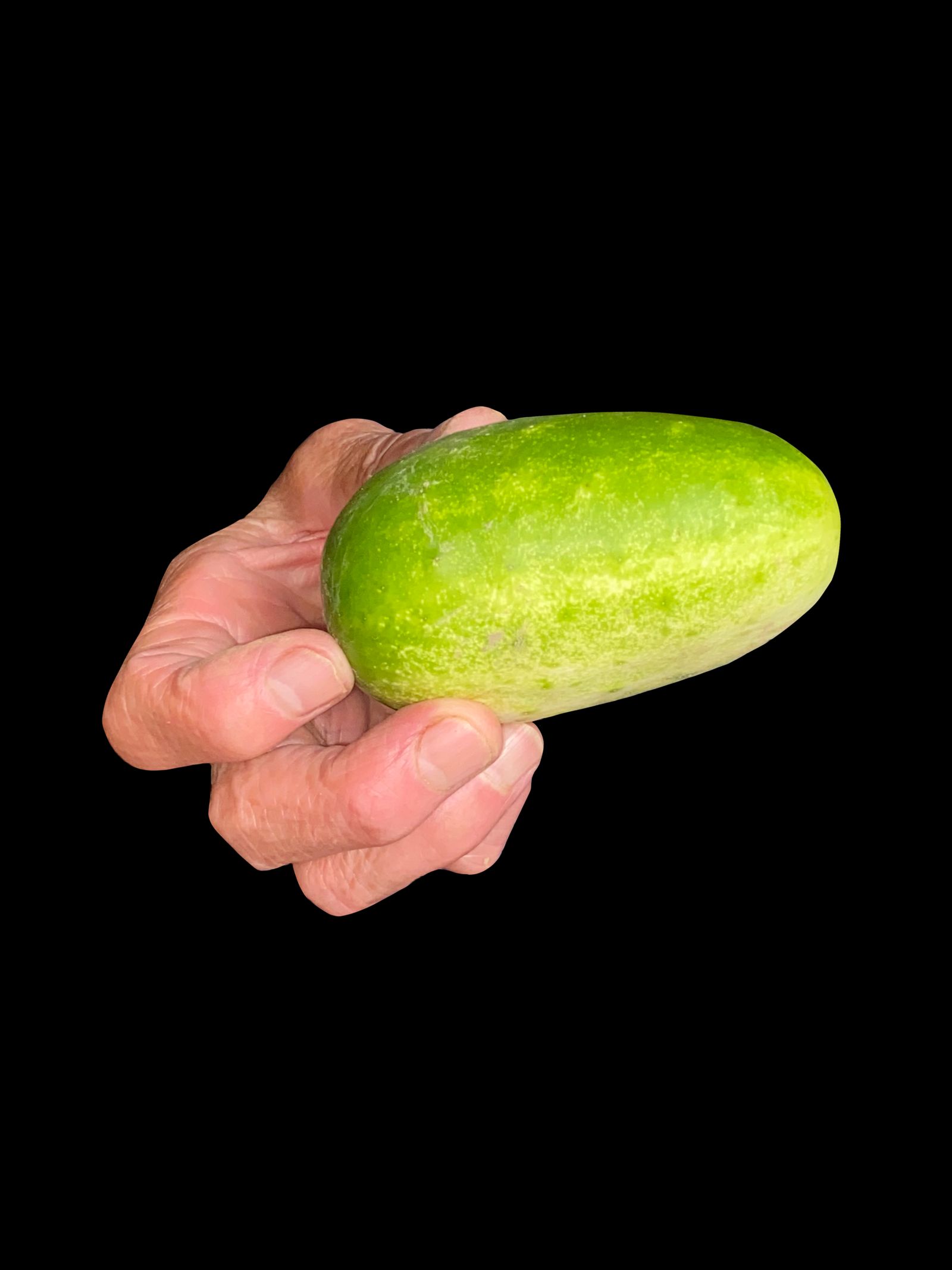 © Lucija Rosc - My grandma's hand holding her homegrown cucumber.