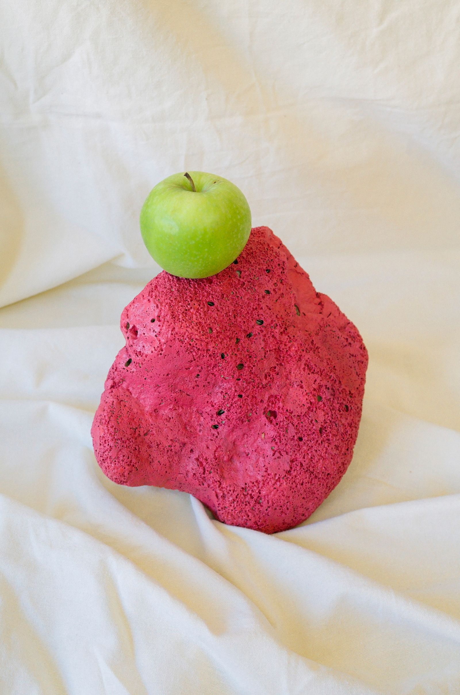 © Lucija Rosc - Homegrown apple on a painted stone.