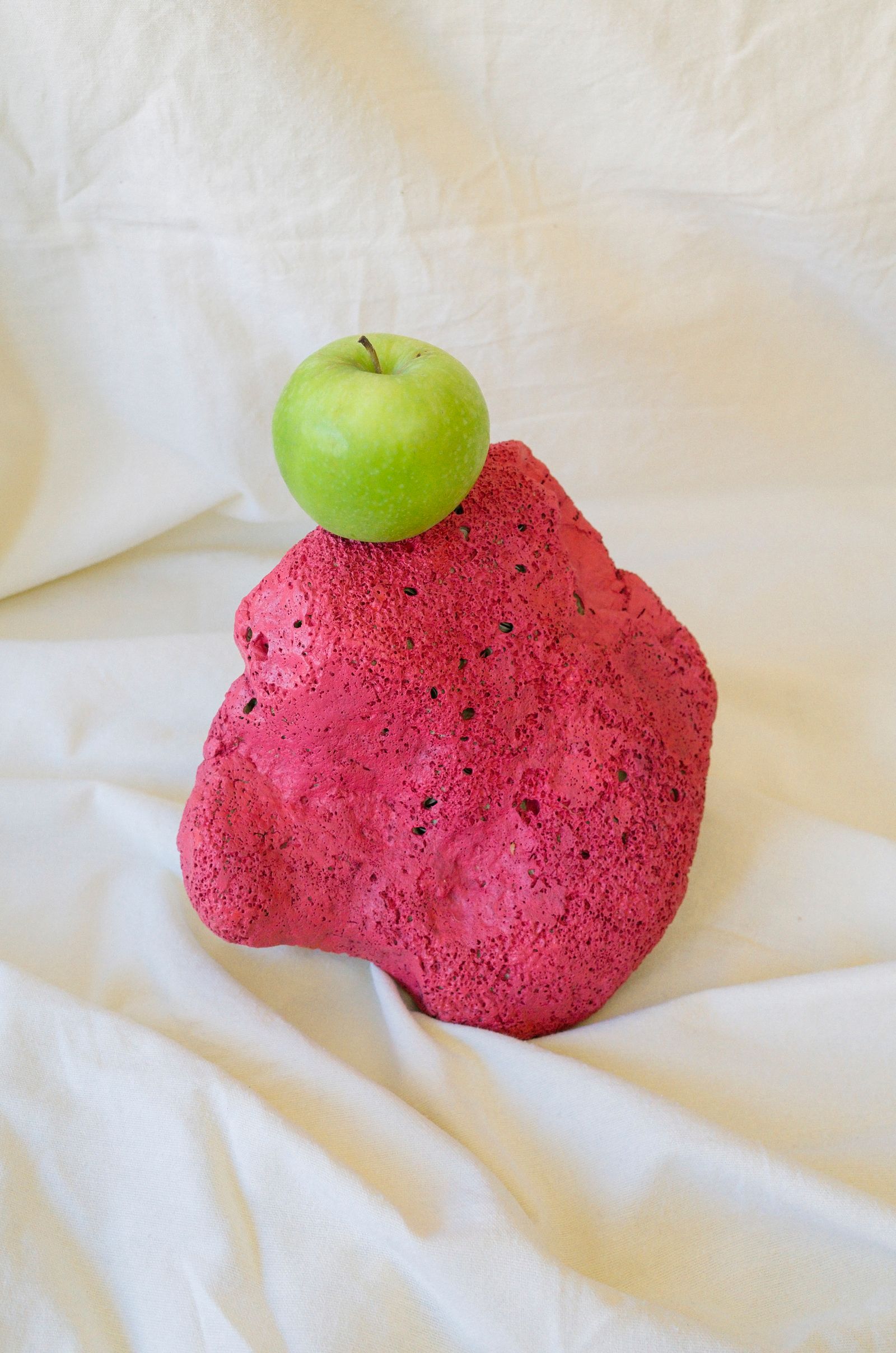 © Lucija Rosc - Homegrown apple on a painted stone.