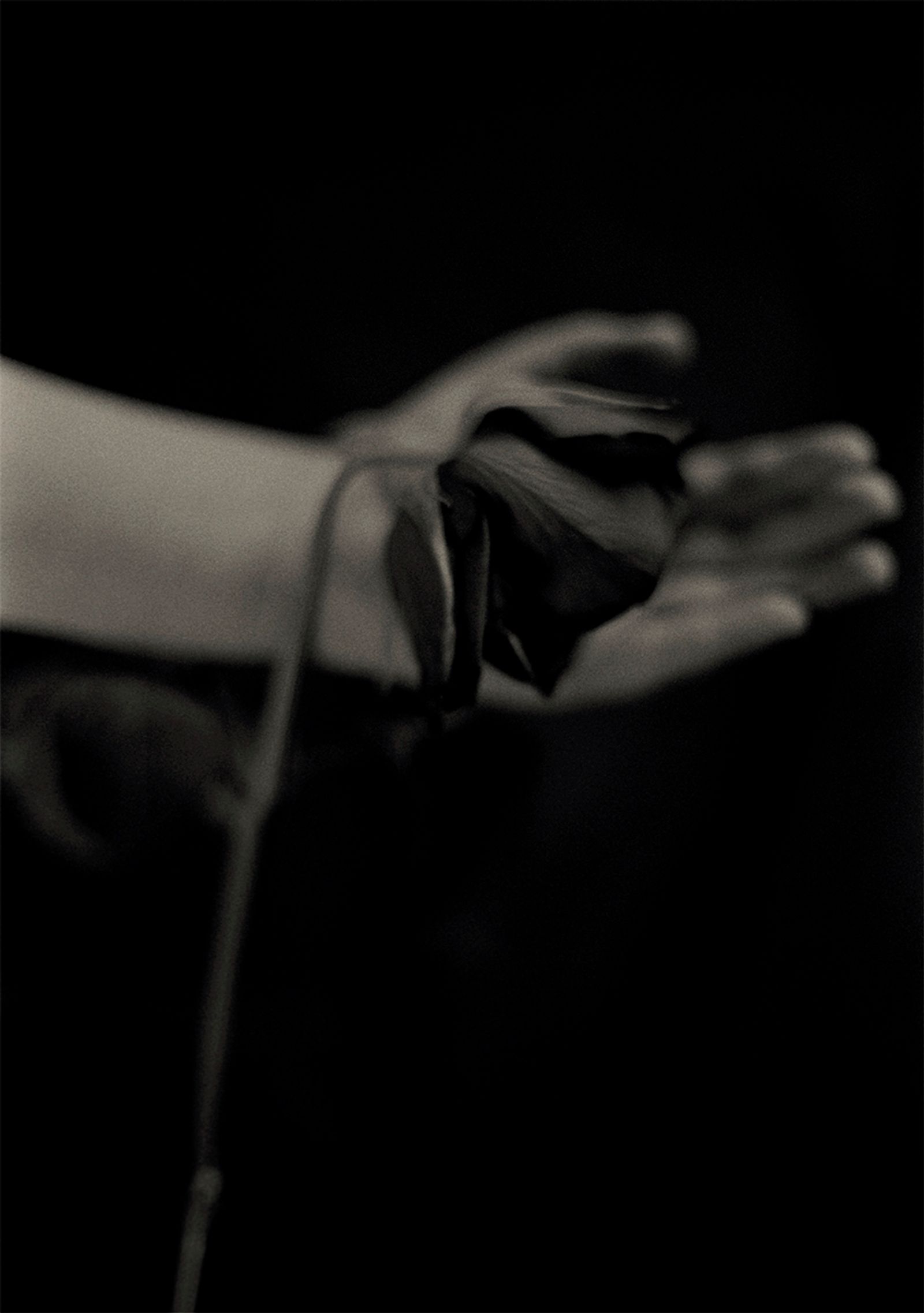© Tomoko Nagakawa - Image from the I taste the blacklight photography project