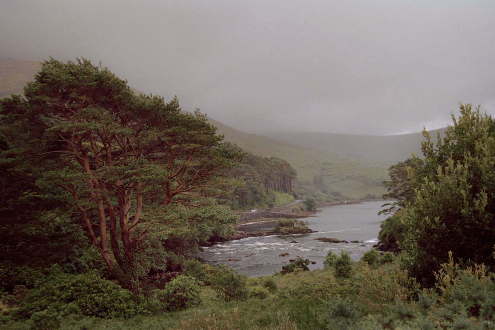 © Irina Kholodna - Image from the New pastorals photography project