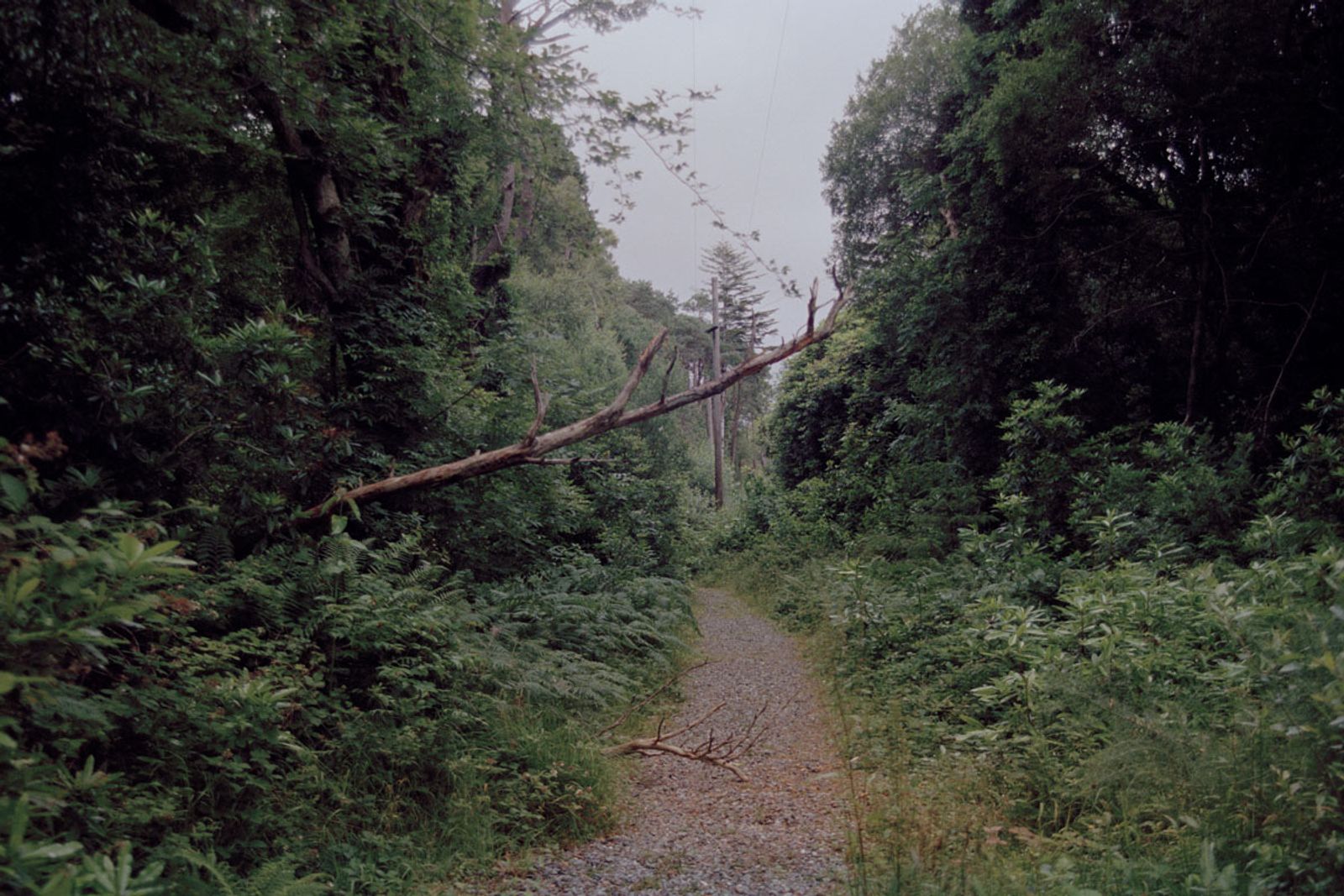 © Irina Kholodna - Image from the New pastorals photography project
