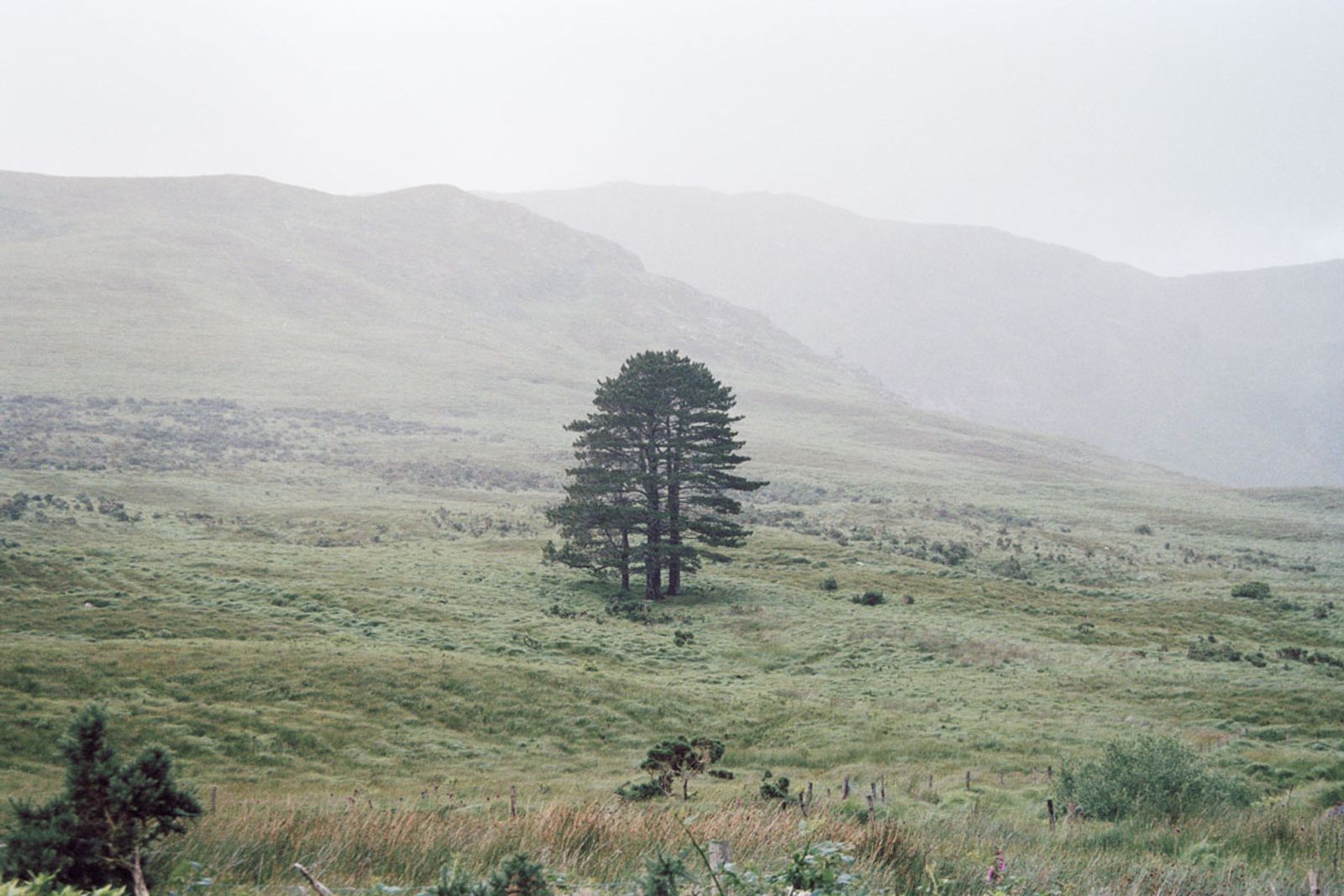 © Irina Kholodna - Image from the New pastorals photography project