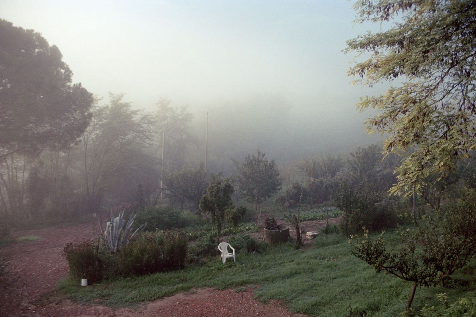© Irina Kholodna - Image from the New pastorals photography project