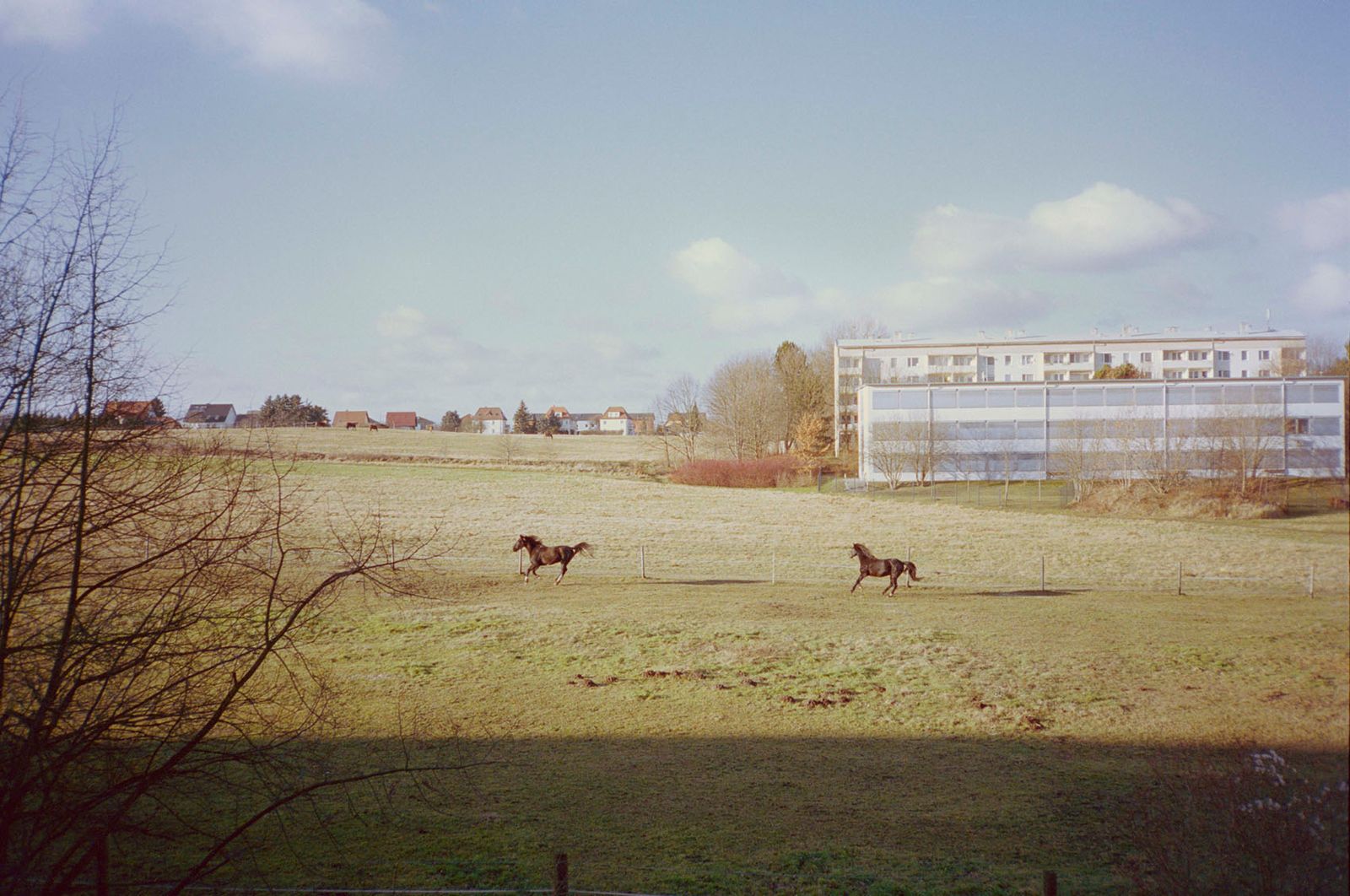 © Irina Kholodna - Image from the It’s About Time photography project