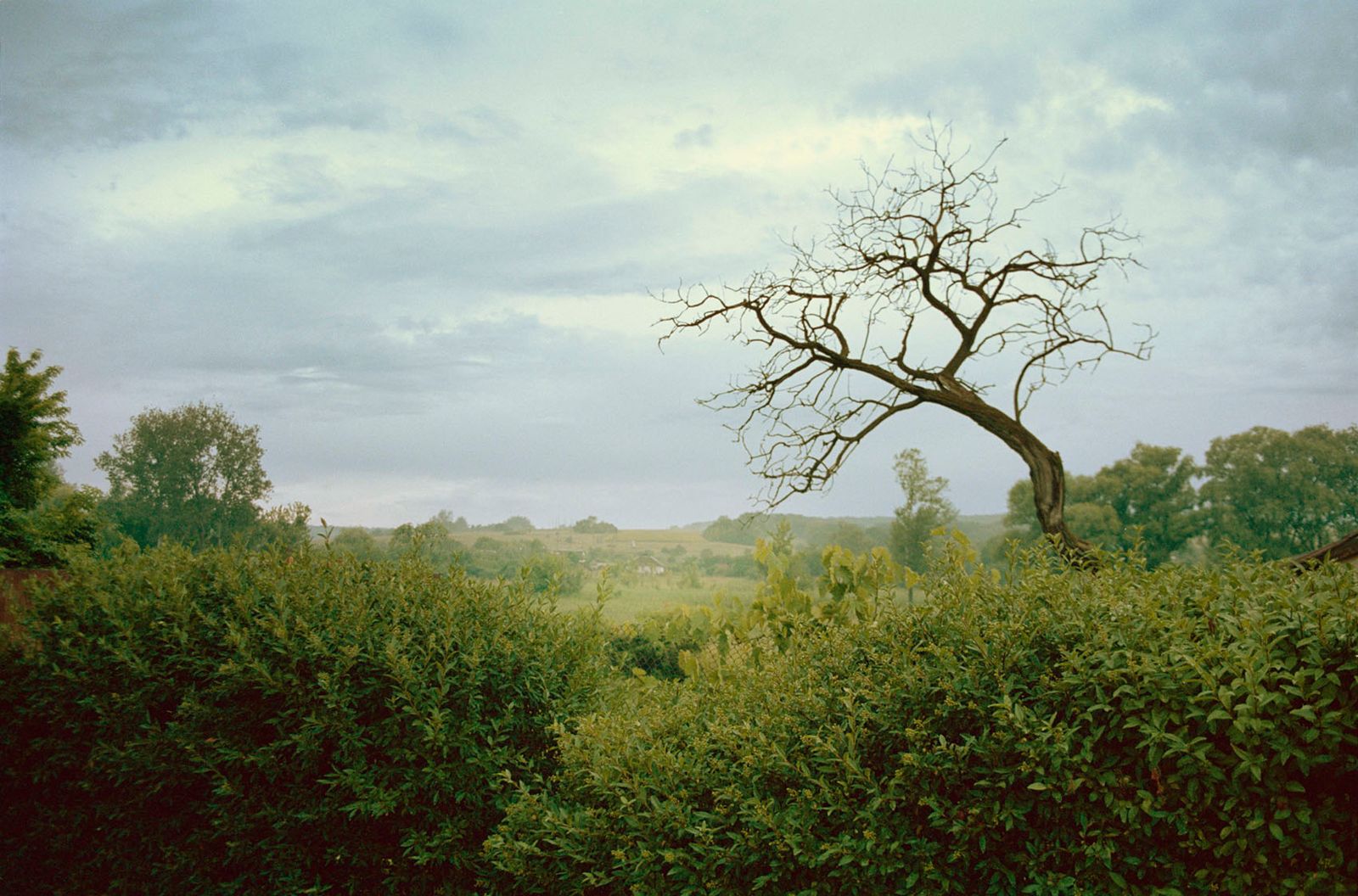 © Irina Kholodna - Image from the It’s About Time photography project