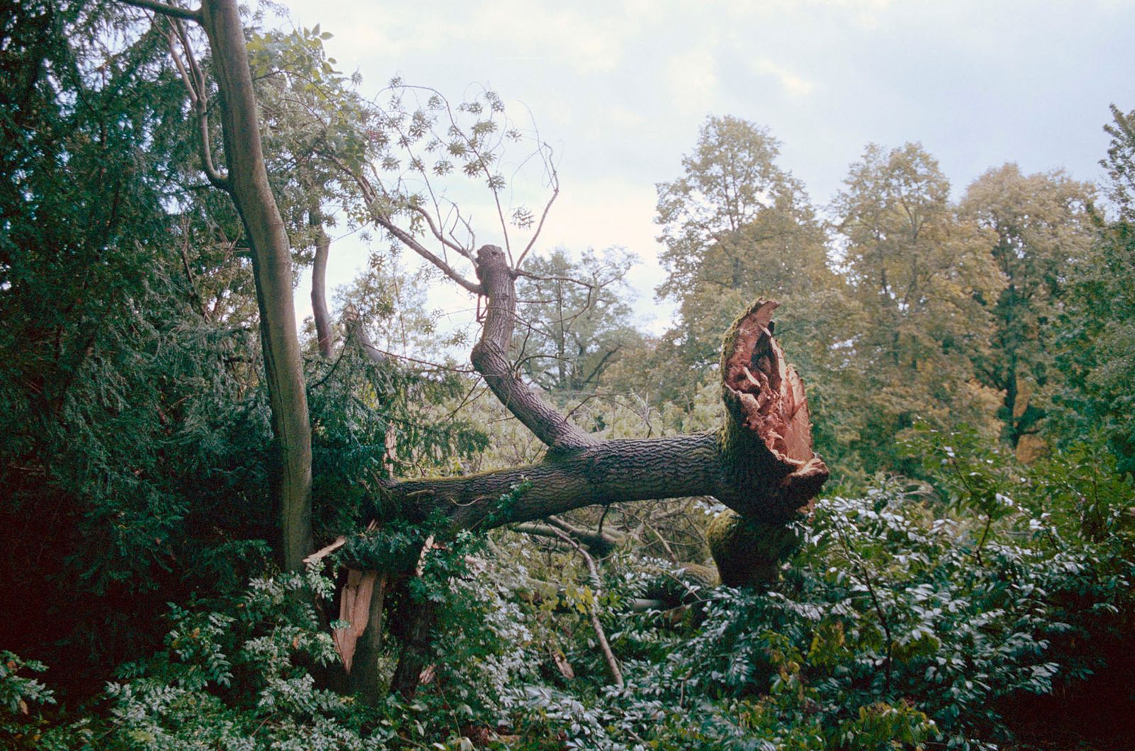© Irina Kholodna - Image from the It’s About Time photography project