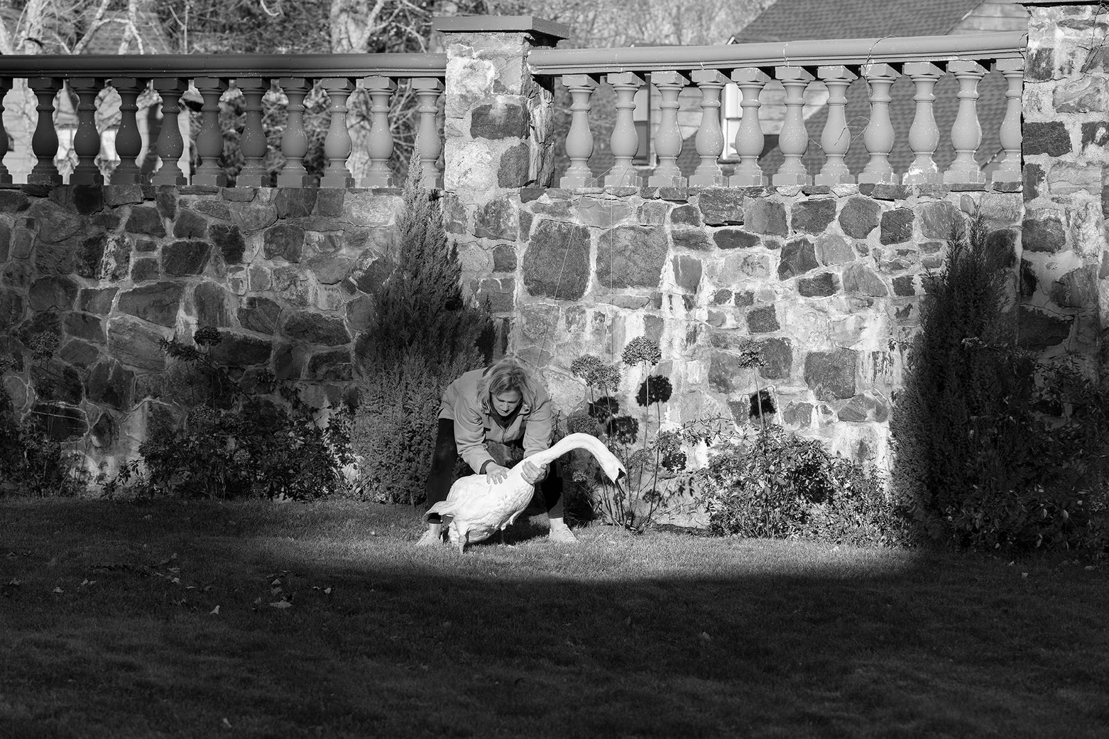 © Shelli Weiler - Image from the Techniques of the Liar photography project