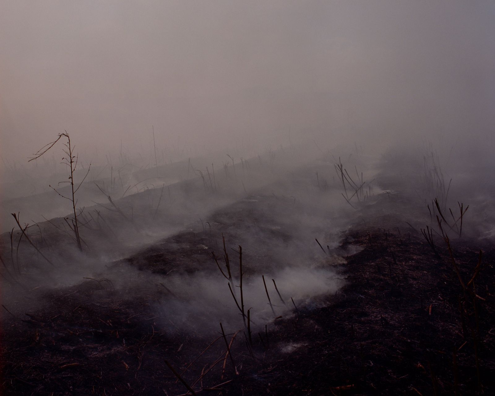 © Teva Cosic - Image from the Puno puno, laku noć (lots and lots, goodnight) photography project