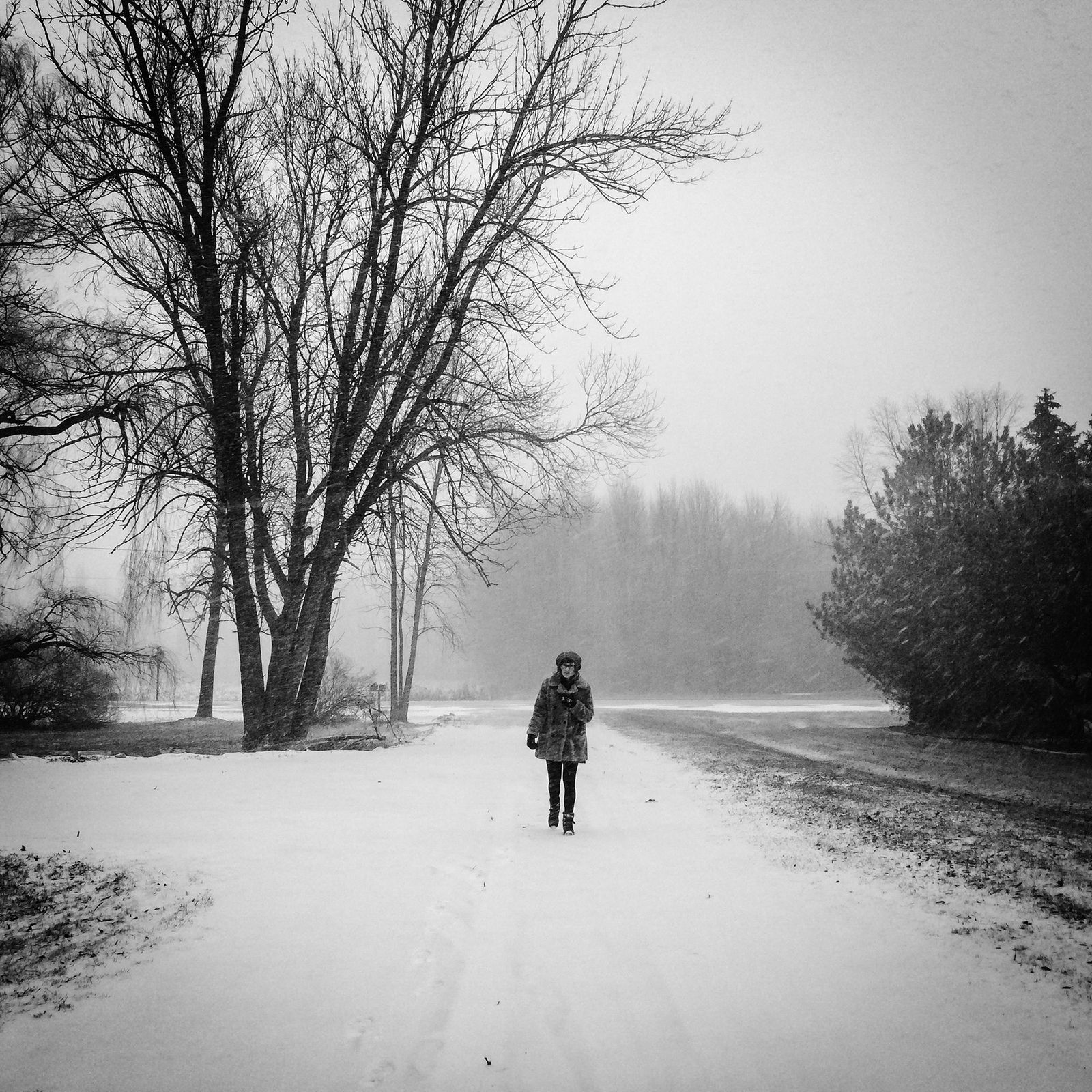 © Jason Houge - The first blizzard of the winter. New Franken, WI 2015
