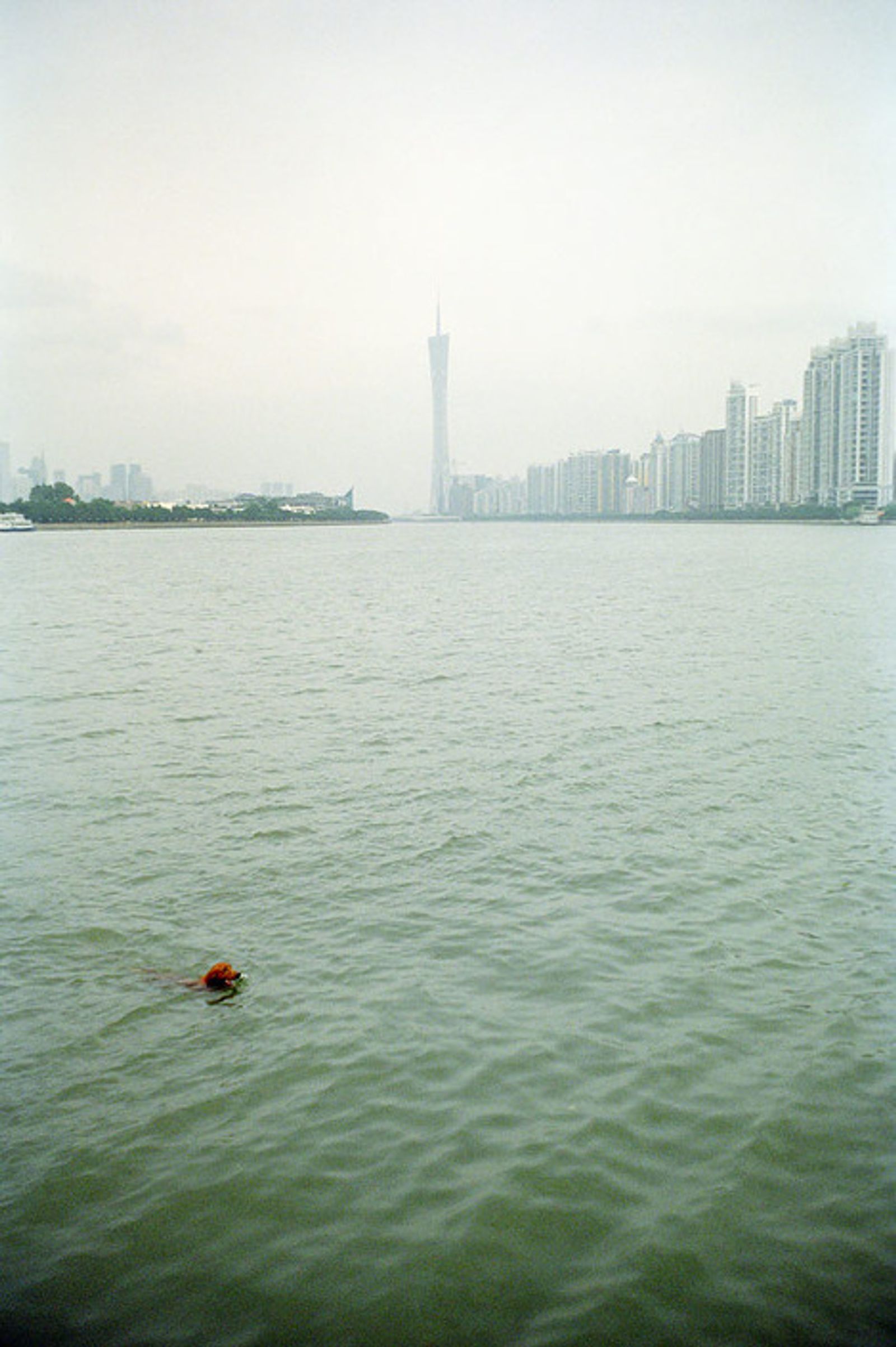 © Pavel Tereshkovets - Guangzhou, China