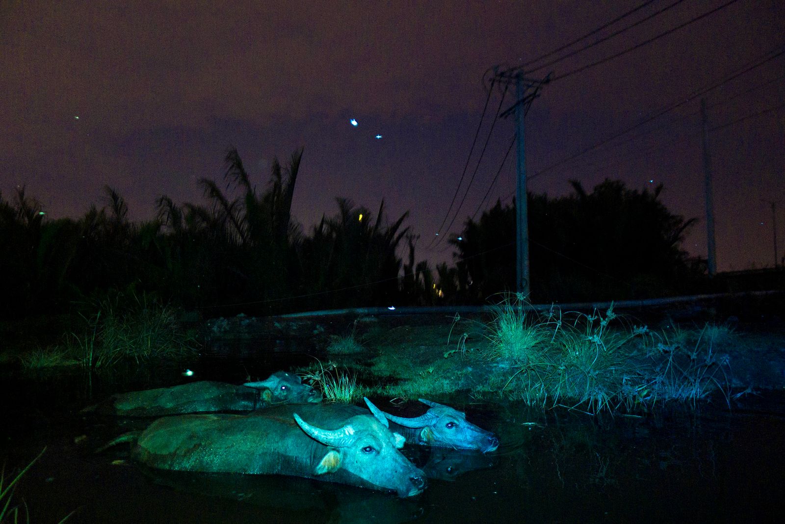 © Pham Phuoc Nhut Minh - Image from the Small City, Big Soul photography project