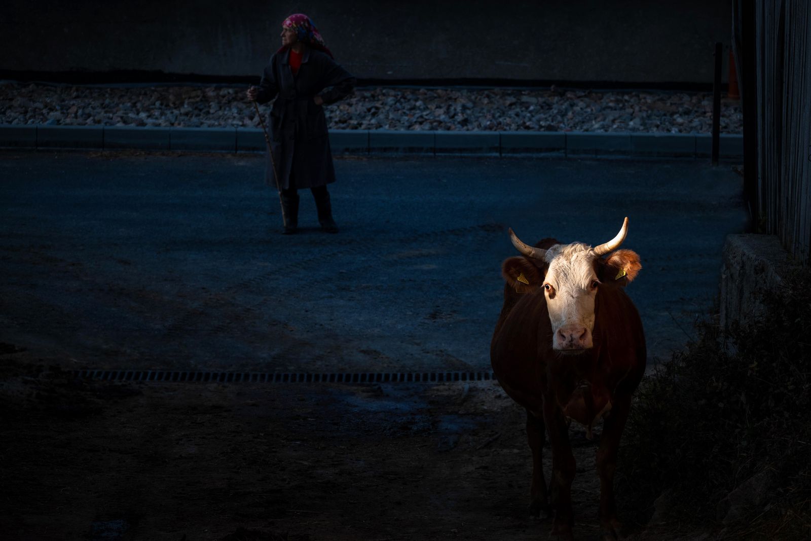 © Vladimir Karamazov - Morning in the mountains