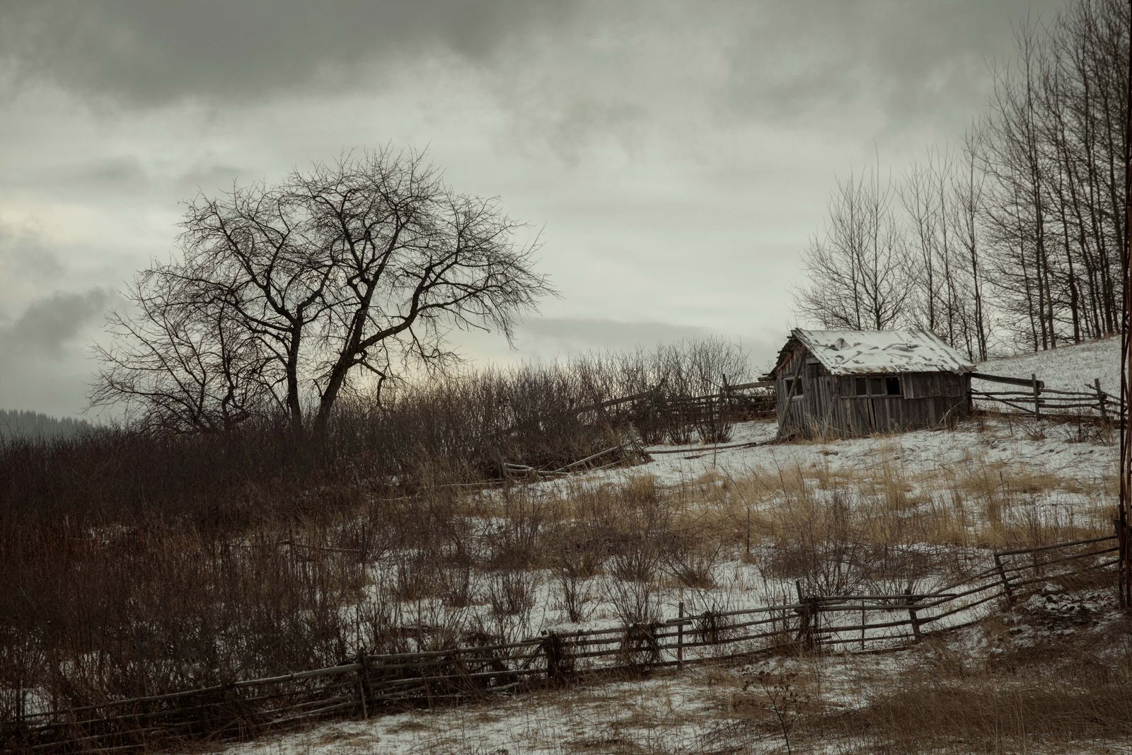 © Vladimir Karamazov - The neighbors house