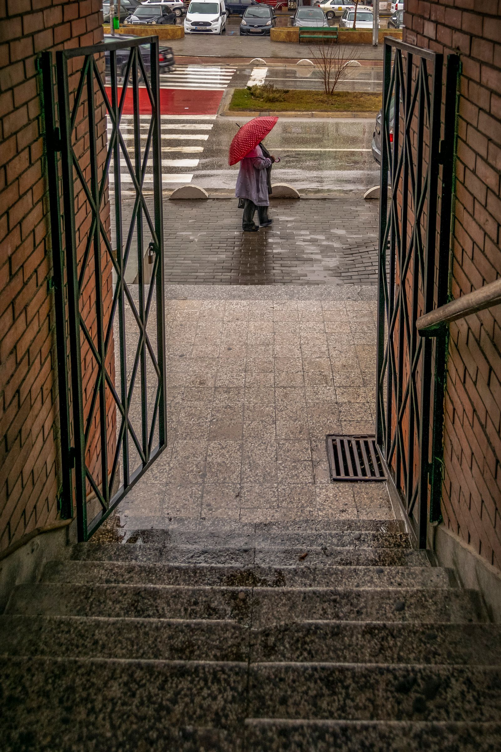© Meri Boshkoska - The red umbrella
