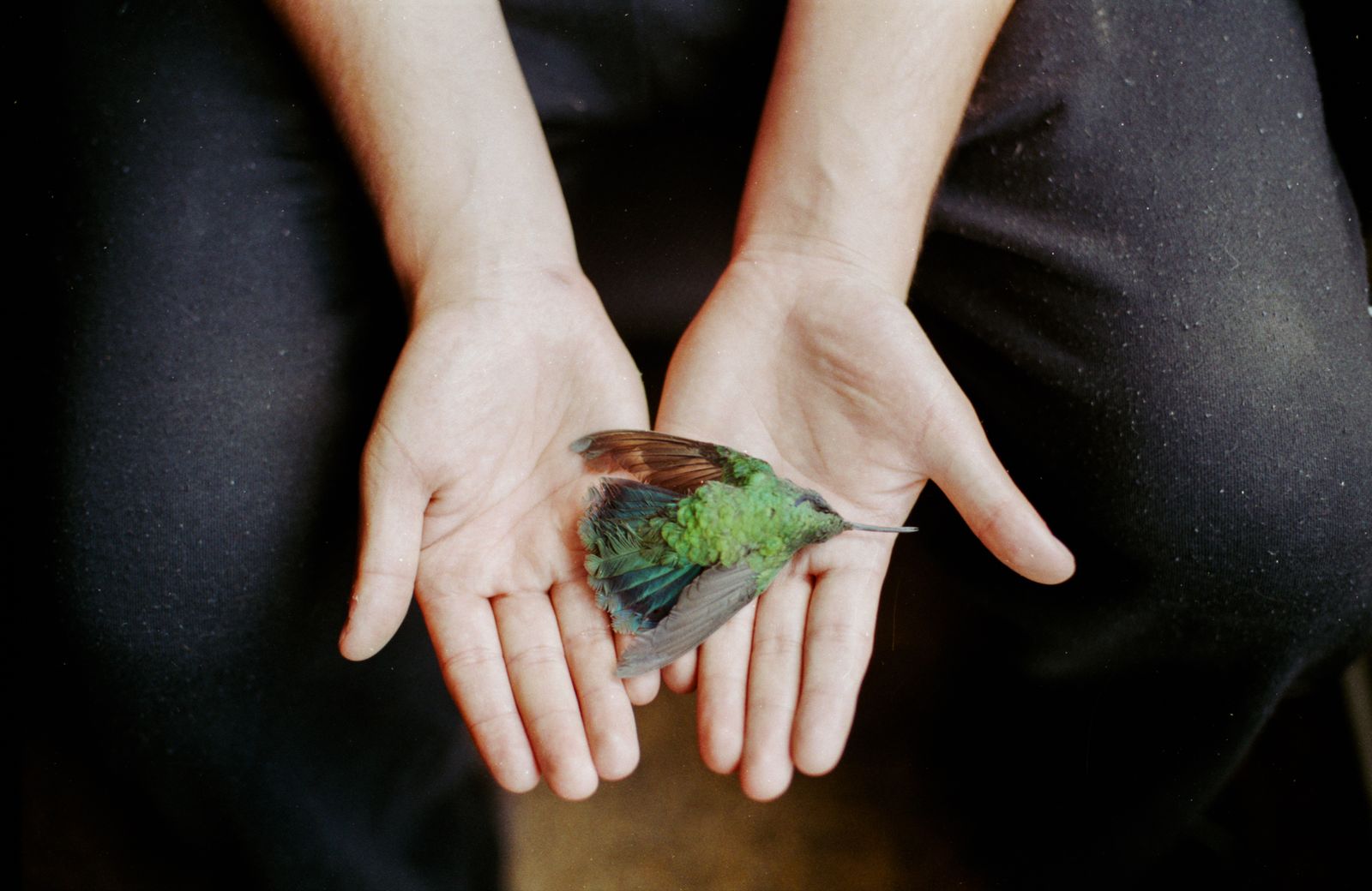 © María García - Image from the Secreto (When the house turned to indigo blue dust) photography project