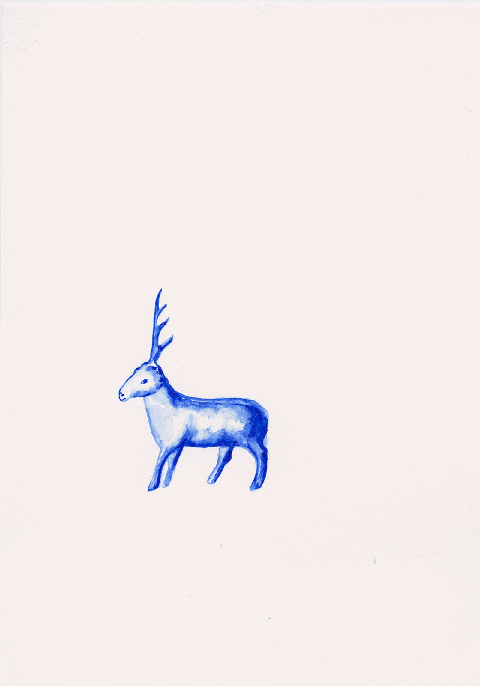 © María García - Image from the Secreto (When the house turned to indigo blue dust) photography project