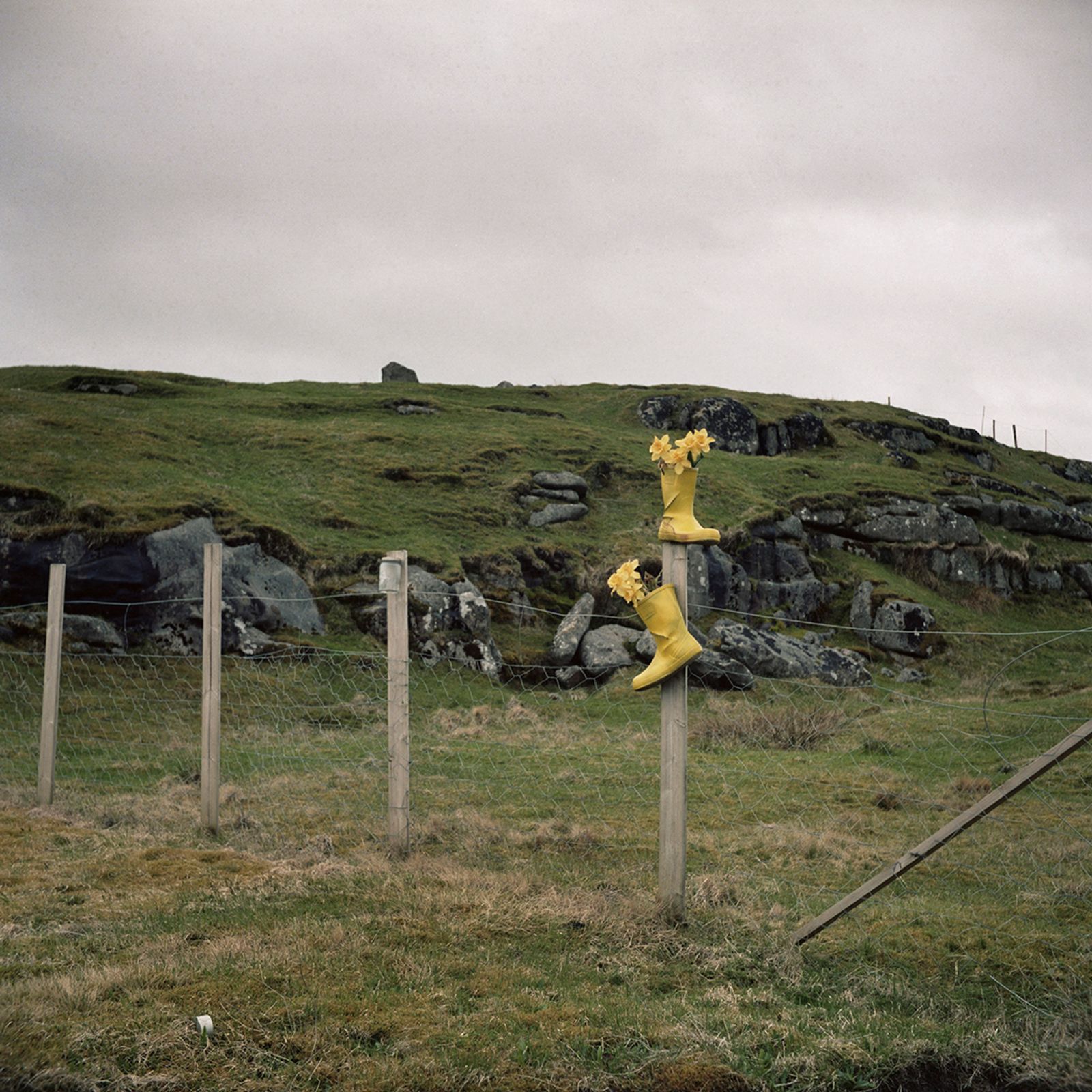 © Mirjam Stenevik - Somebody has put up easter decorations in Drøna, reflecting the wet weather.