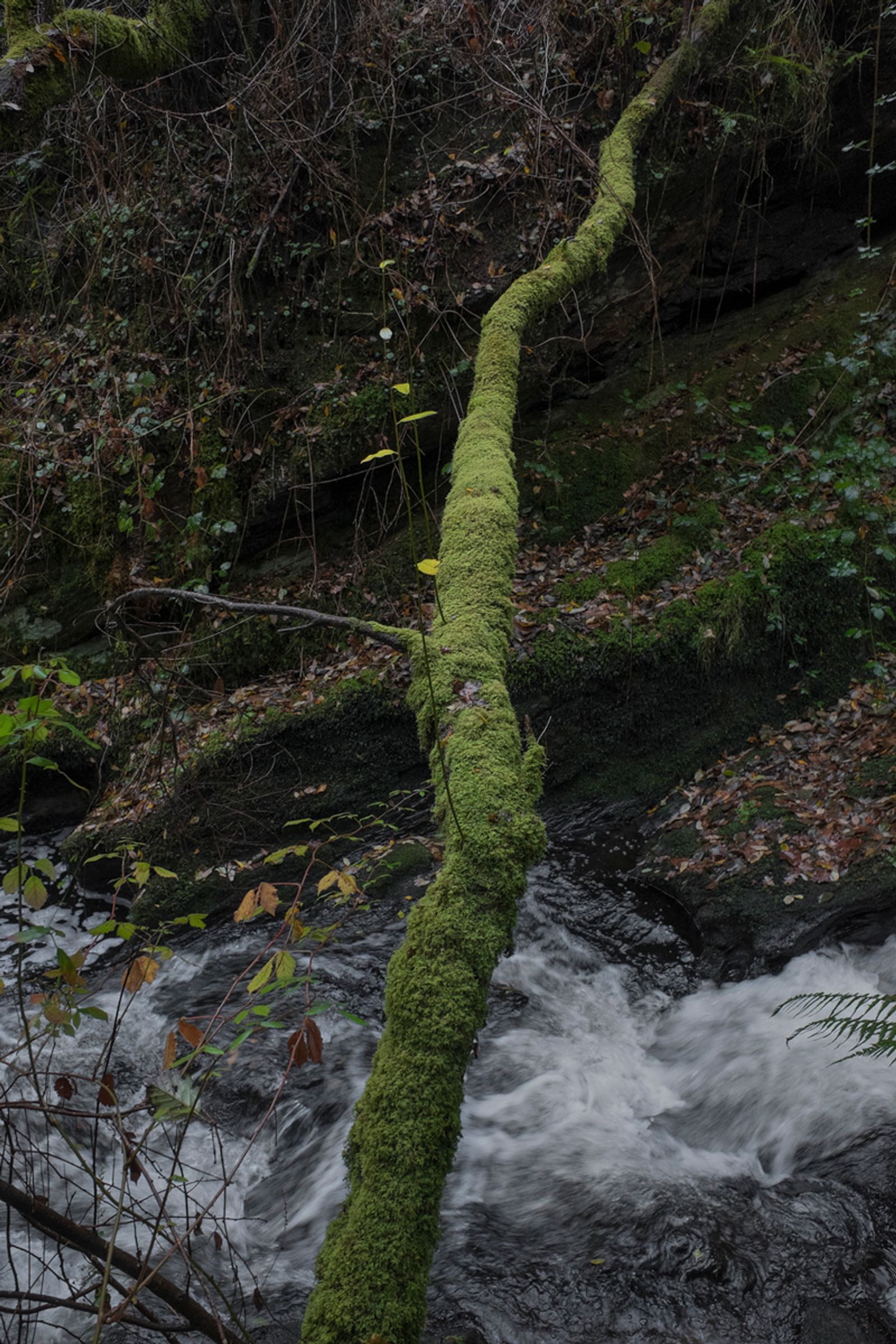 © Ariadna Silva Fernández - Image from the Cartografía do esquecemento (Cartography of oblivion) photography project