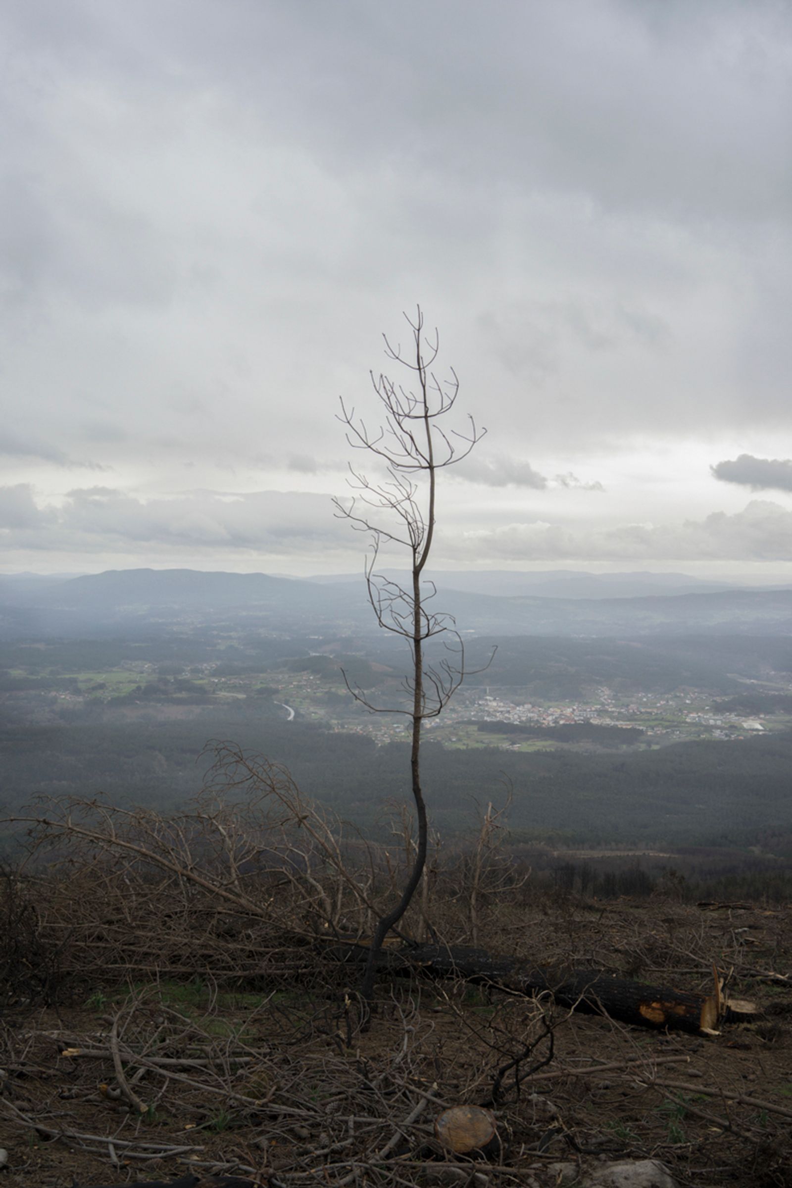 © Ariadna Silva Fernández - Image from the Cartografía do esquecemento (Cartography of oblivion) photography project