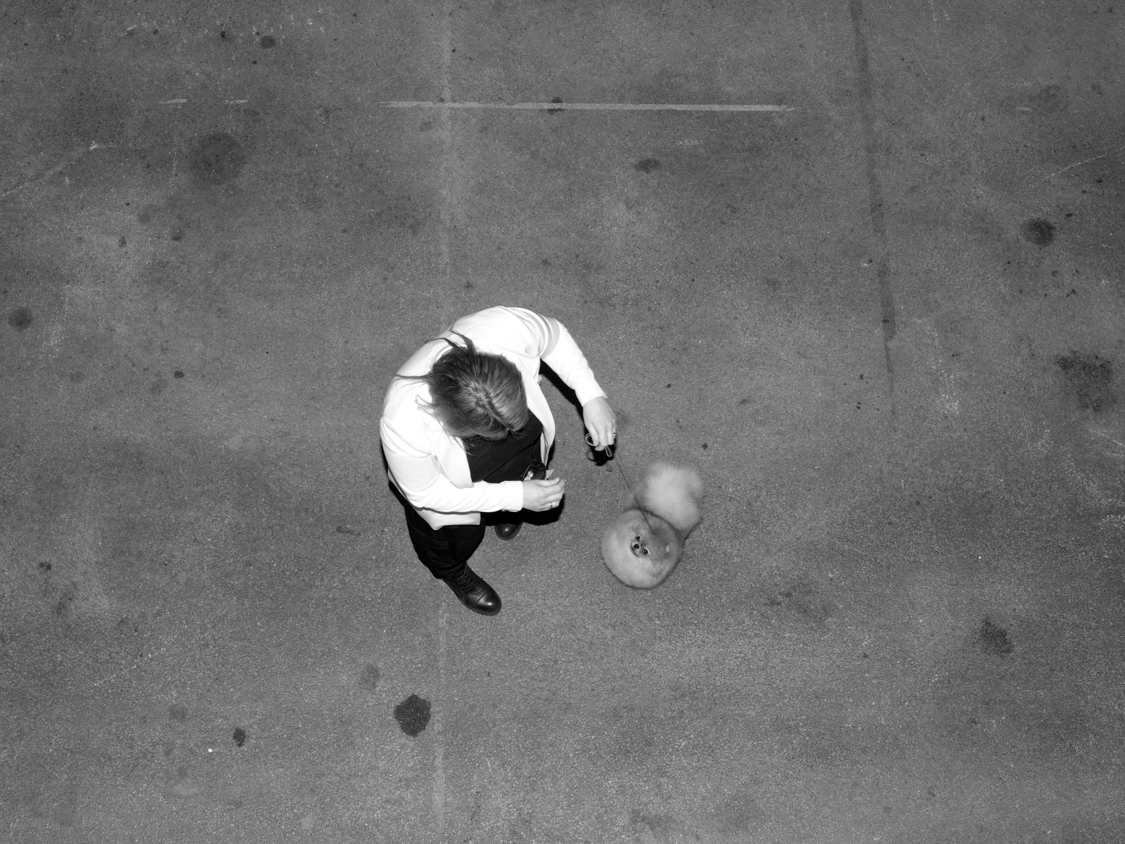 © Alice Poyzer - Untitled, 2024