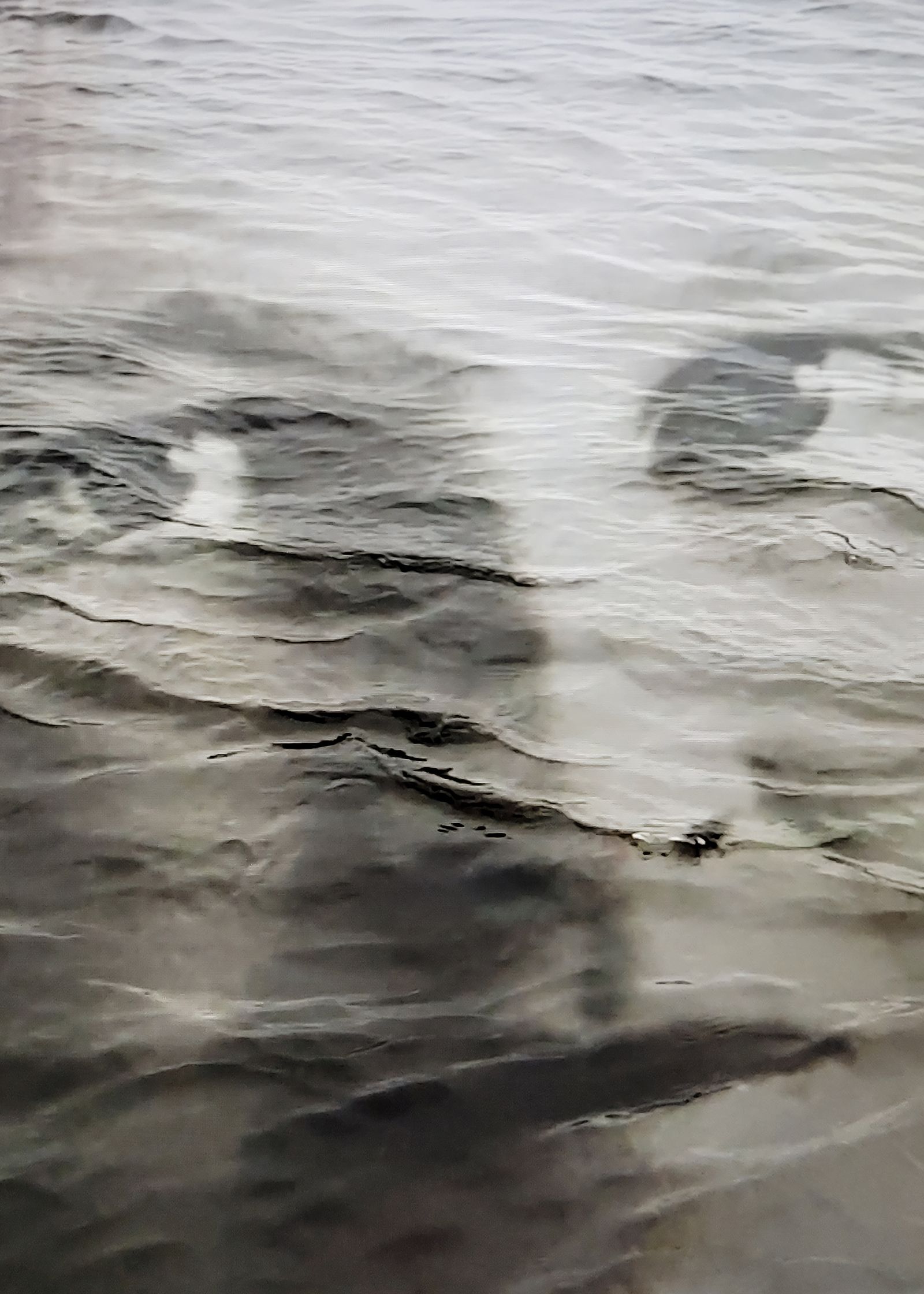 © Eija Mäkivuoti - Image from the The Land of the Northern Lights – Entangled Stories of Belonging photography project