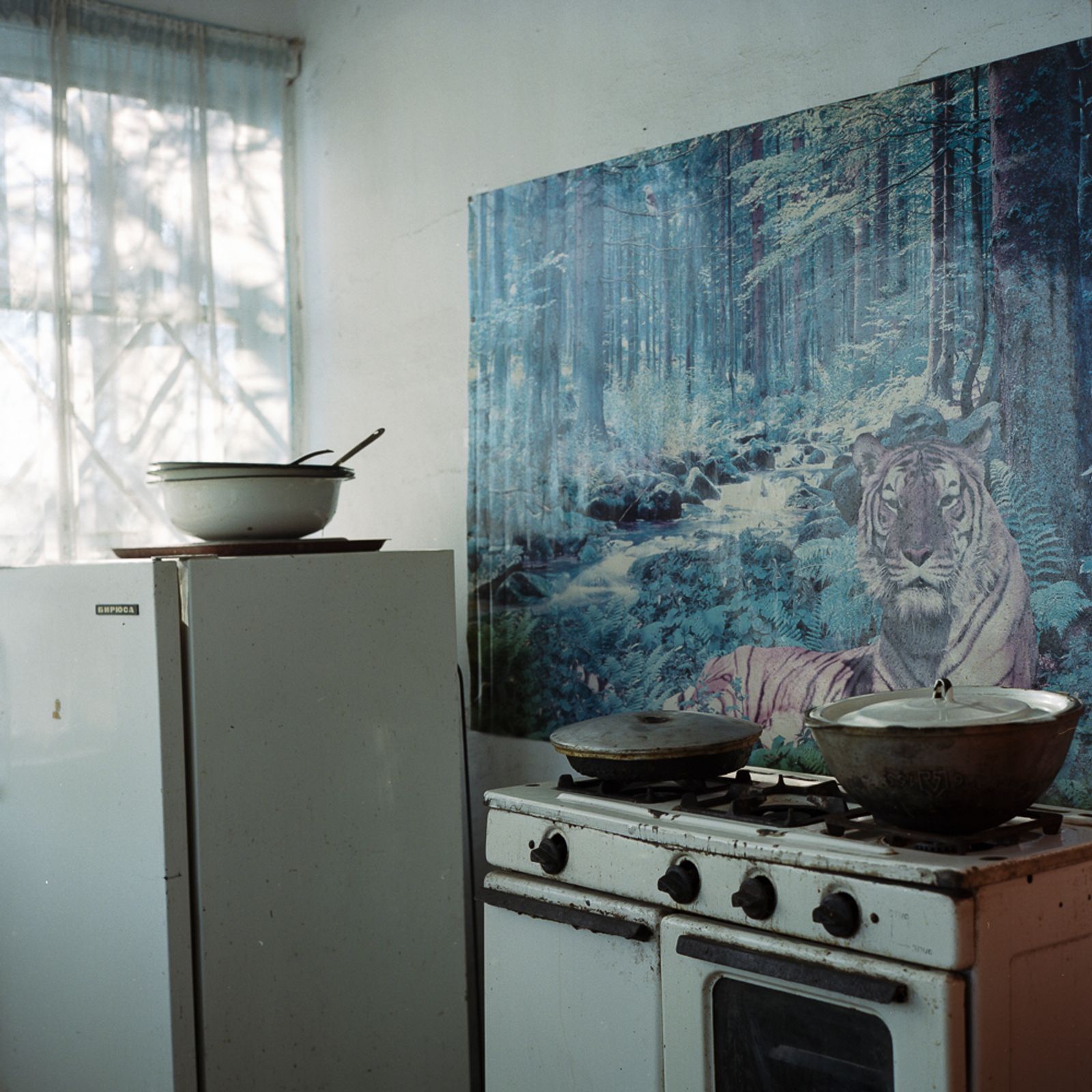 © Michael Vince Kim - Deportee's home. The tiger is one of the most important animals in Korean folklore.