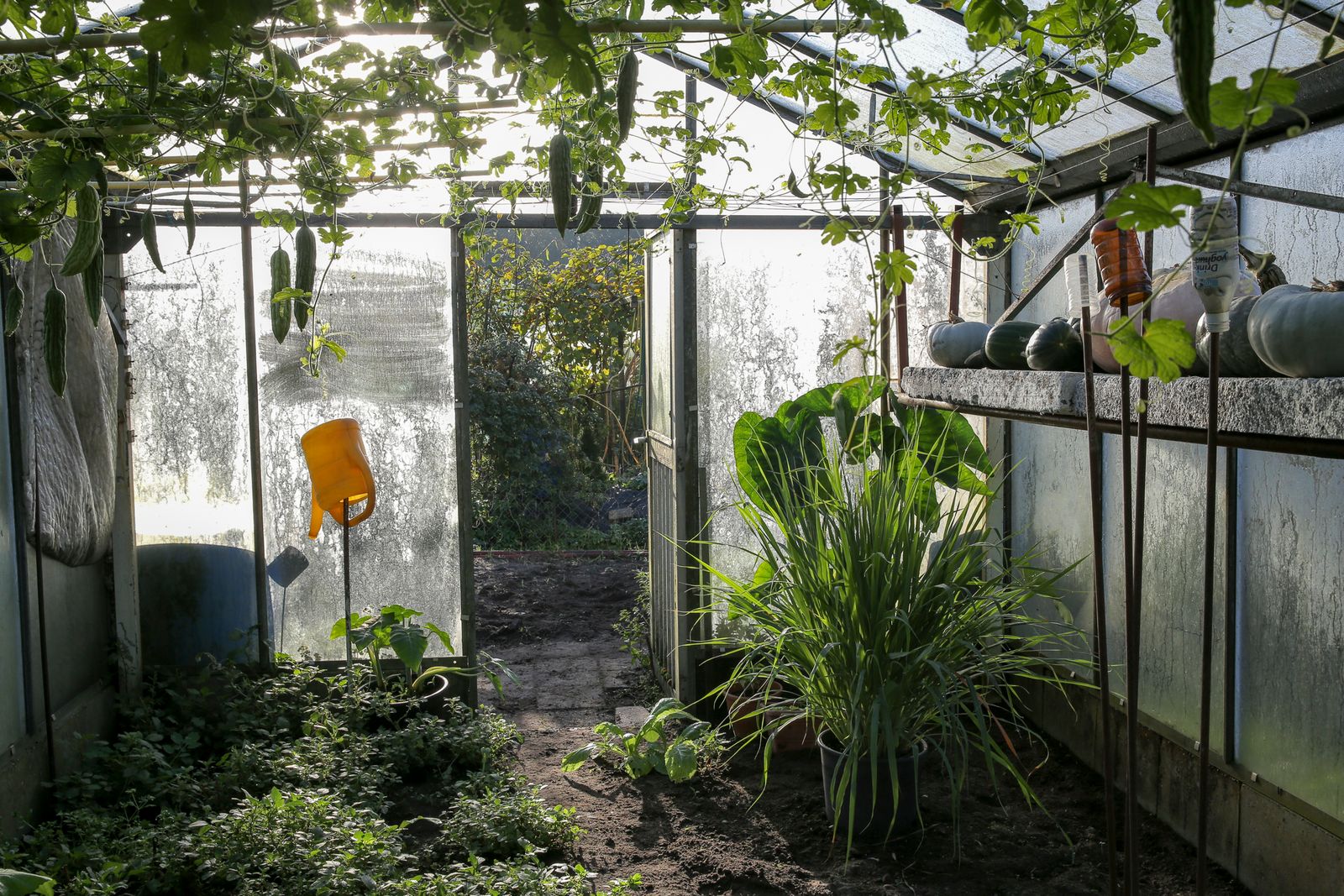 © Anja Ligtenberg - Eindhoven, the Netherlands, Groen Gennip Green House