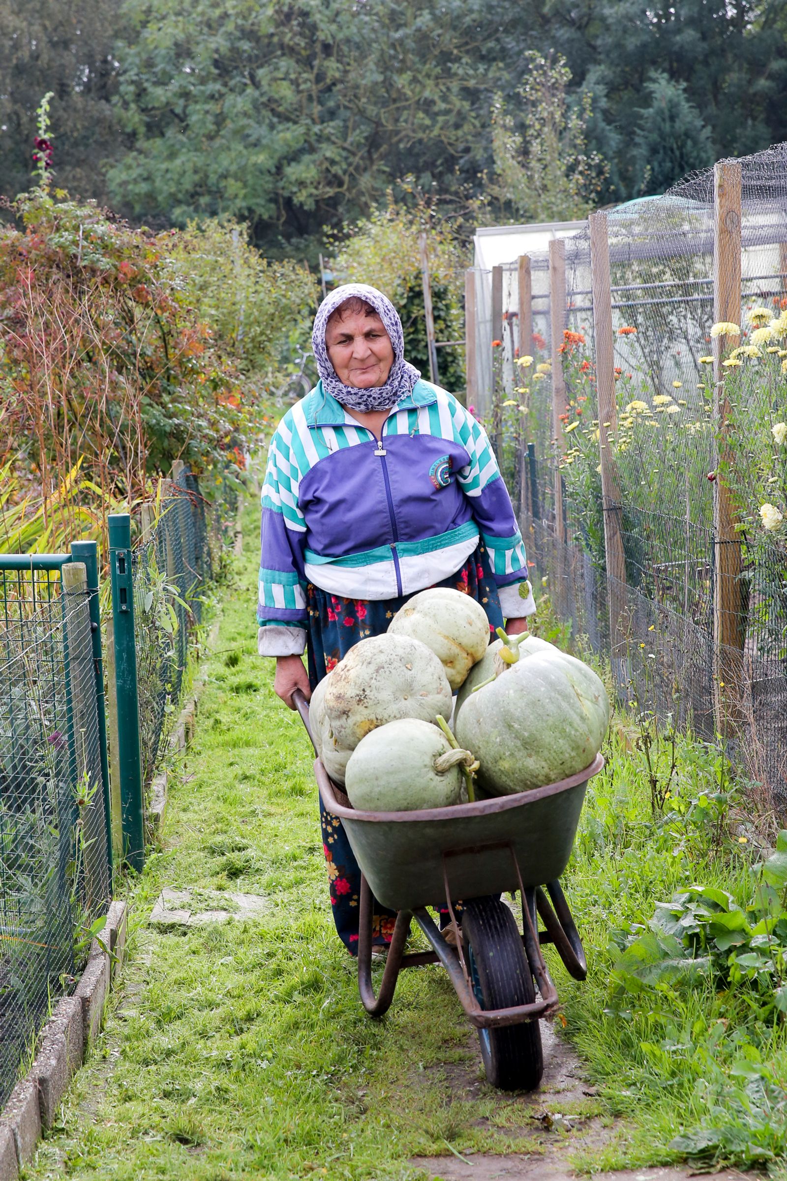 © Anja Ligtenberg - Eindhoven, the Netherlands, Groen Gennip, Harvest