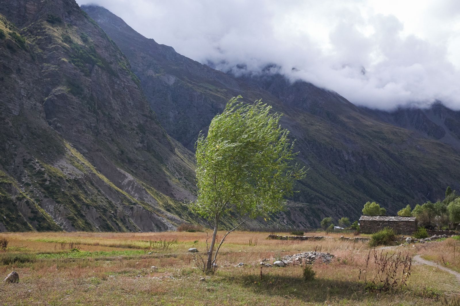 © Chetan Toliya - Image from the Johār photography project