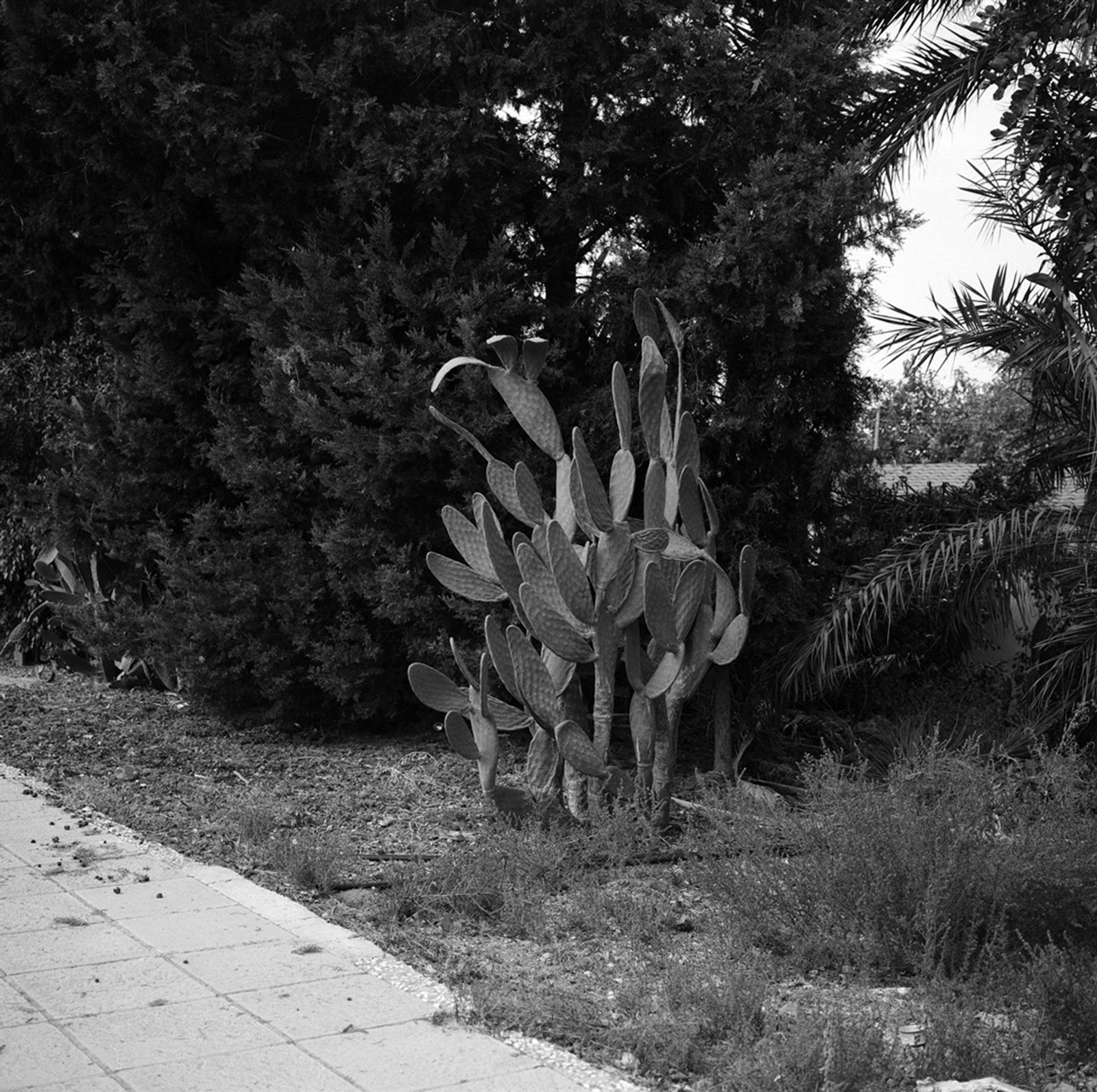 © Cheryl Newman - Image from the Searching For Aphrodite photography project