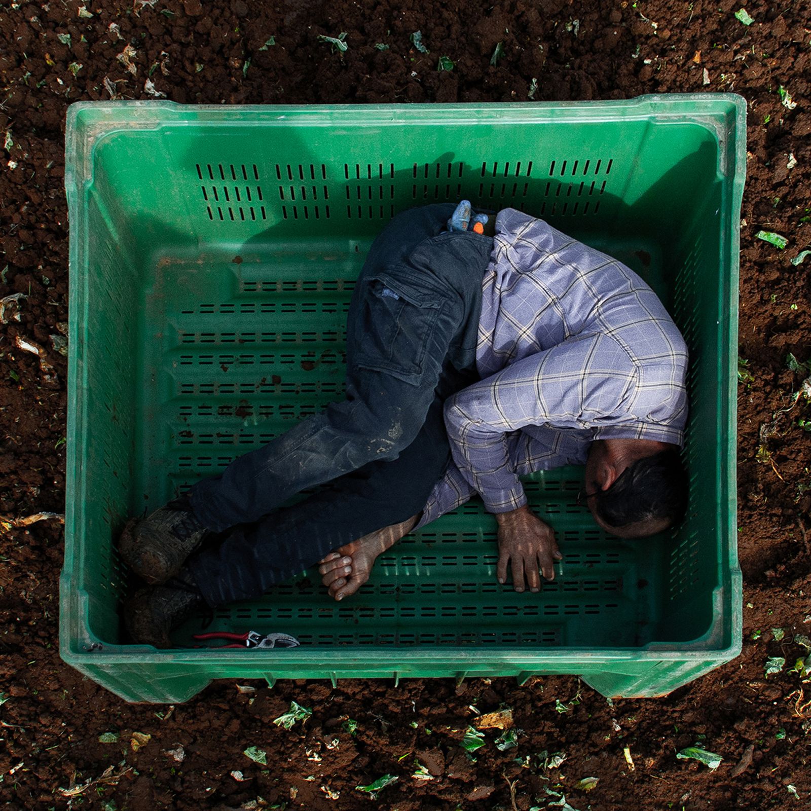 © Matteo Falcone - Image from the Human Bins photography project