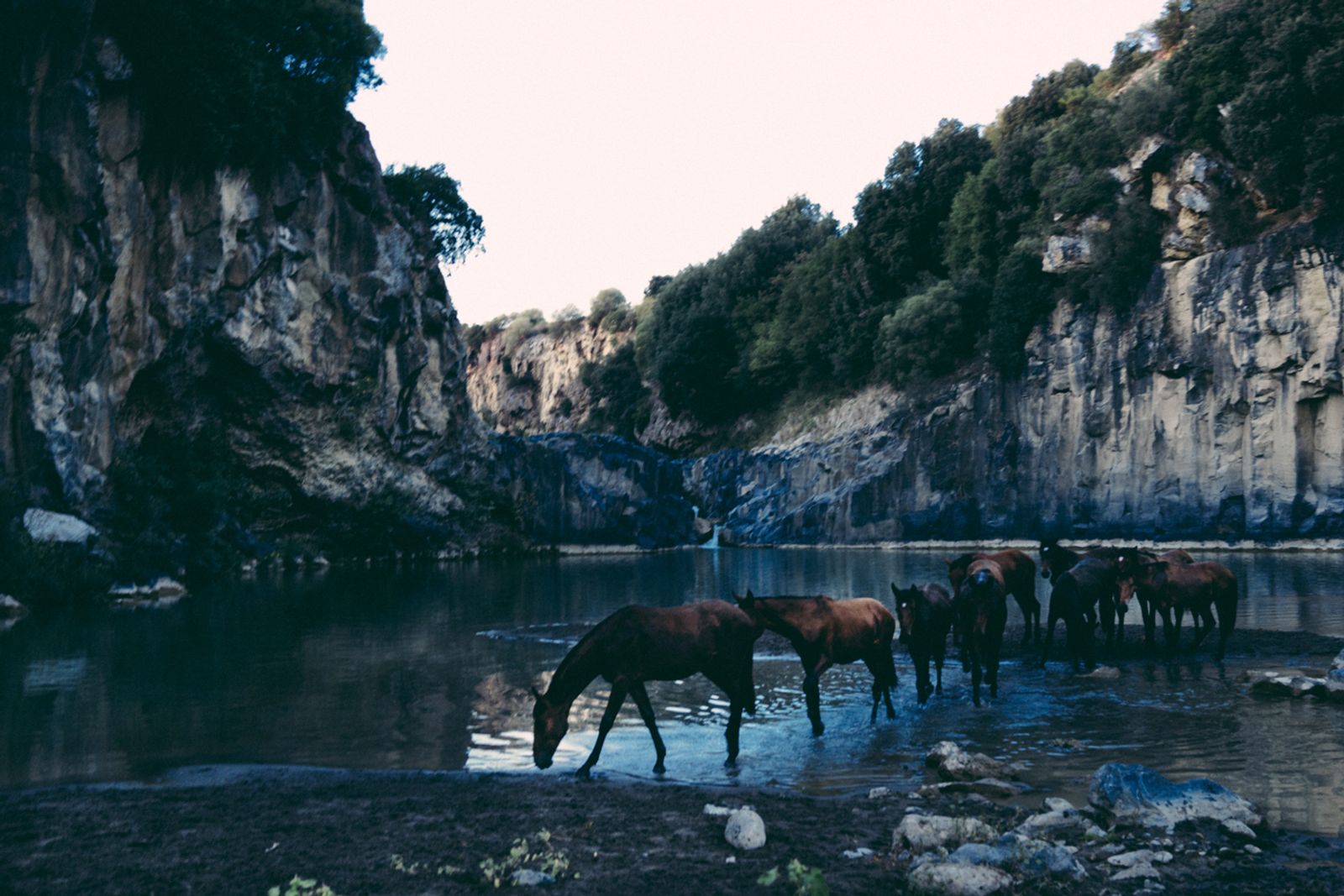 © Francesca Todde - Image from the TransHumance photography project