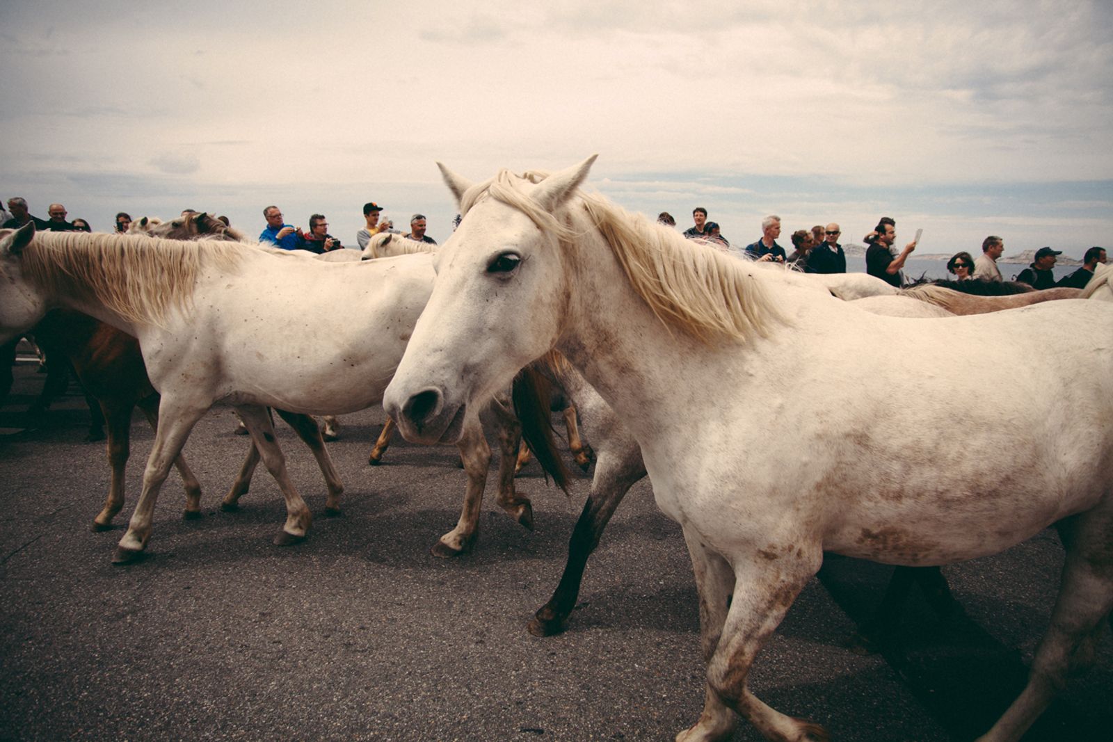 © Francesca Todde - Image from the TransHumance photography project