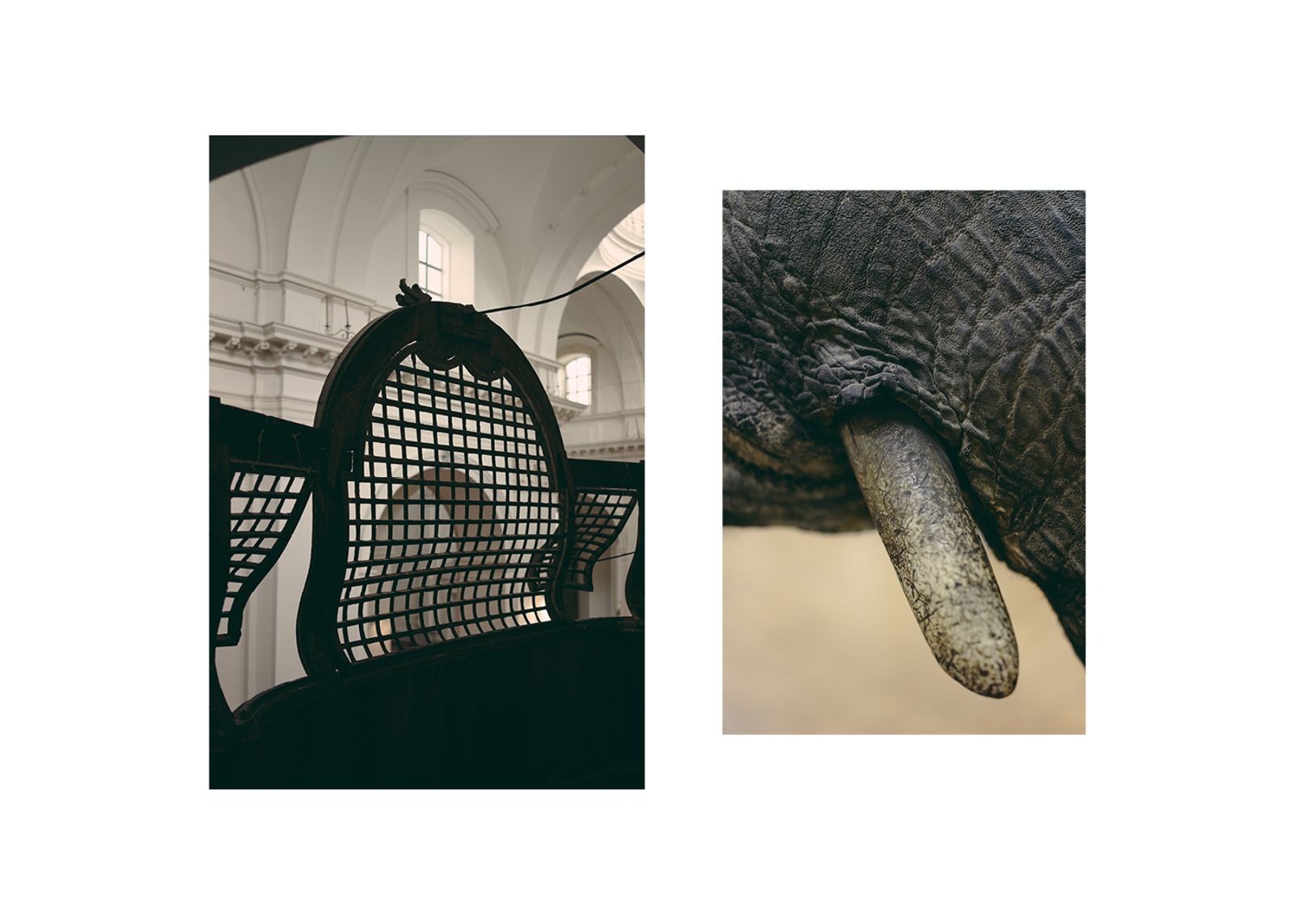 © Francesca Todde - Benedectine monastery of San Nicolò l’Arena in Catania; Elephant horn in the Natural History Museum of Catania.