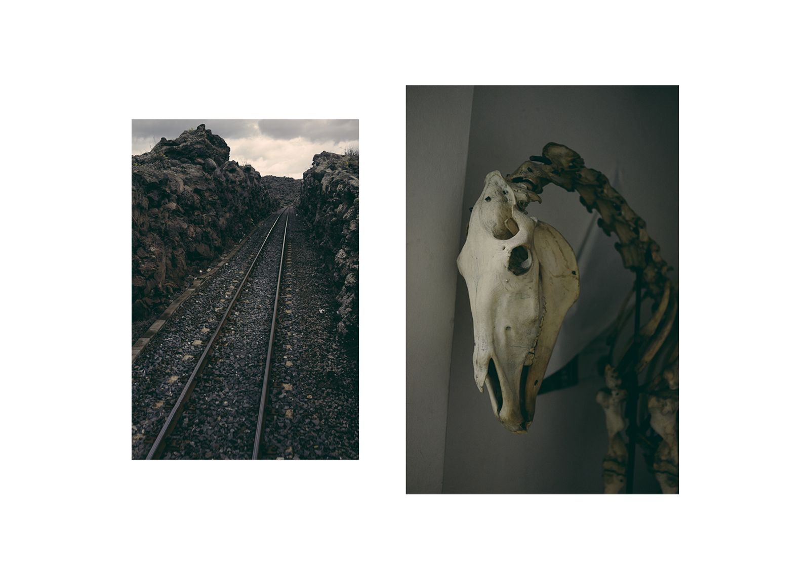 © Francesca Todde - The railway between the lava on the slopes of Etna volcano; Horse skeleton in the Natural History Museum of Catania