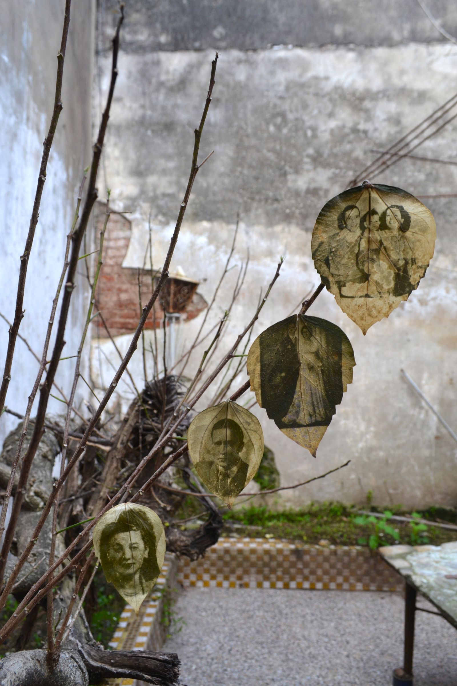 © Yasmin Natalia Pesce - Image from the Unfinished House photography project