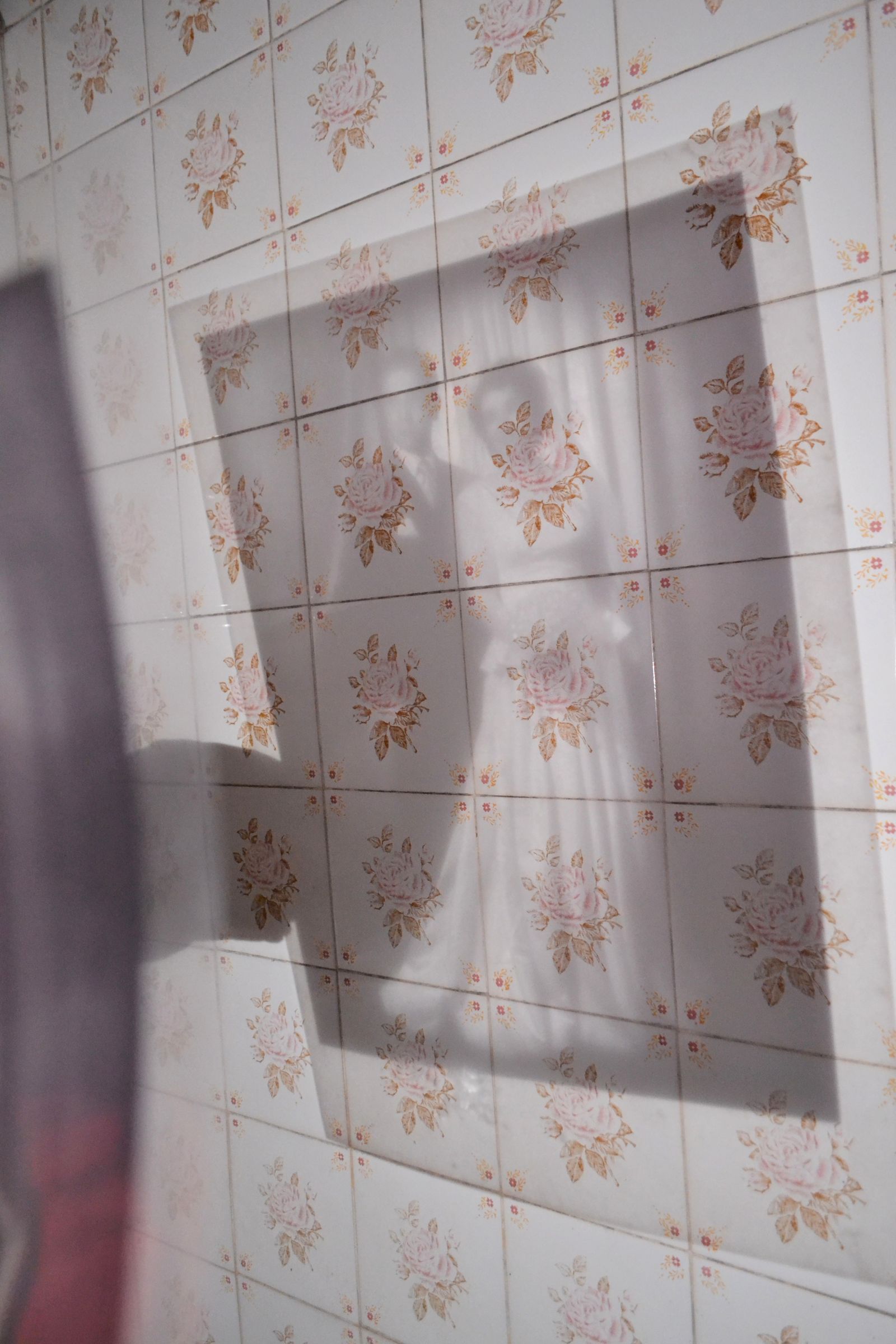© Yasmin Natalia Pesce - Digital photography to image projection on wall.