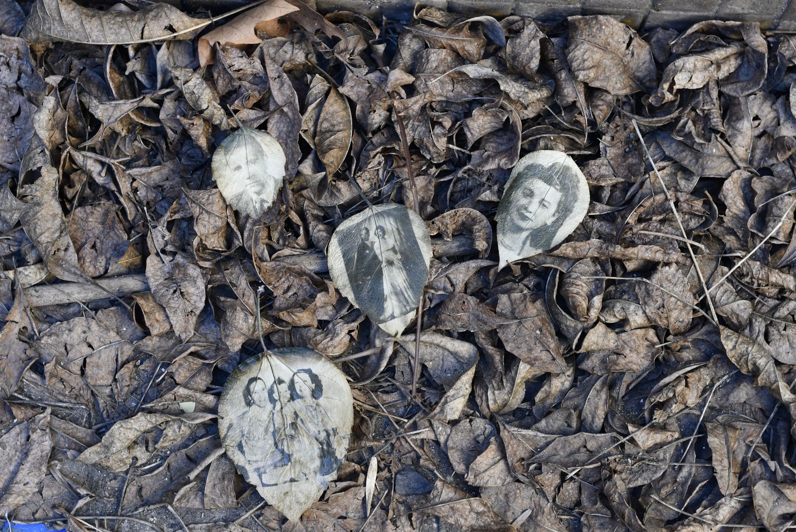 © Yasmin Natalia Pesce - Image from the Unfinished House photography project