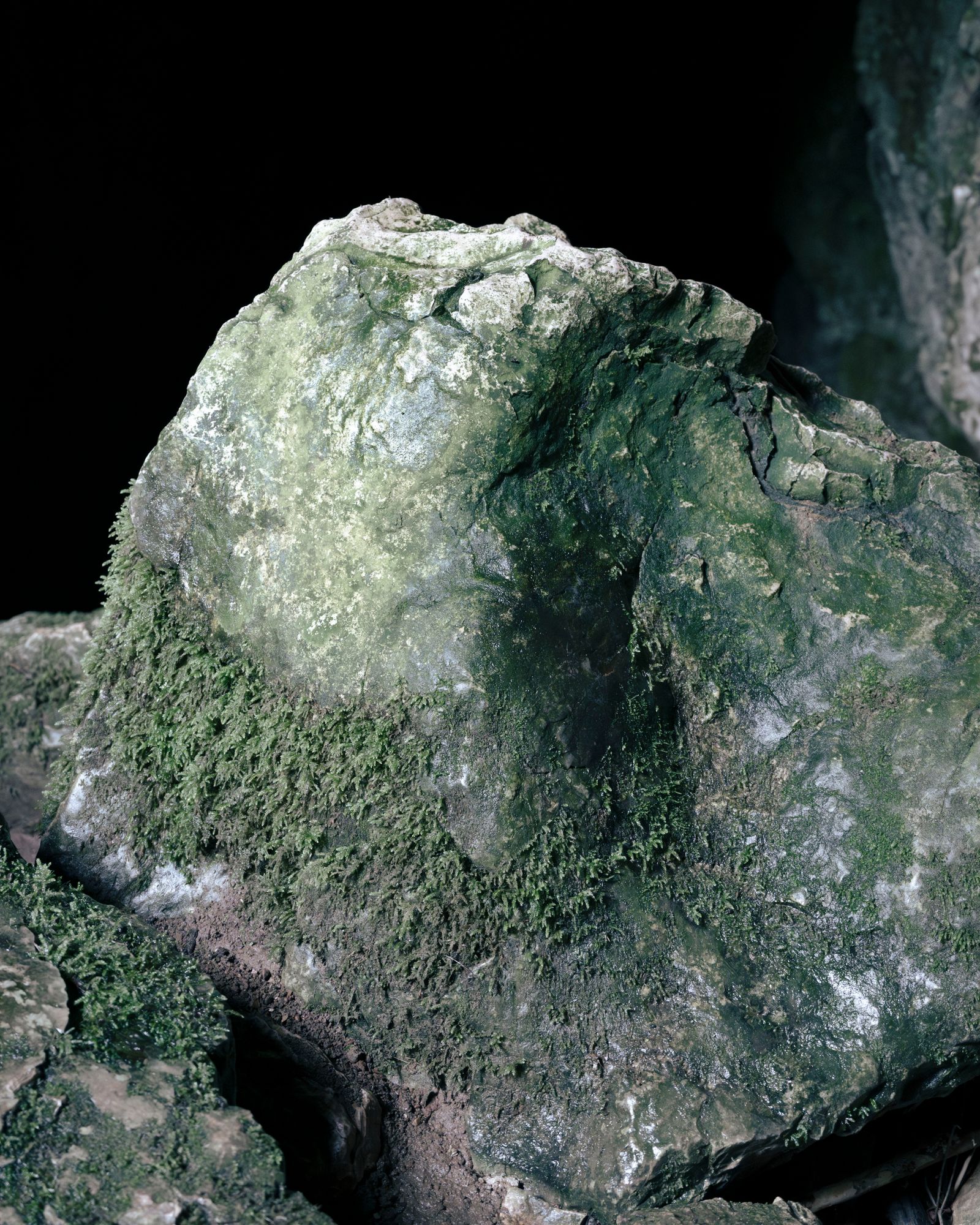 © Sofia Noce - Detail inside the abyss of the Pozzo Comune, Carpineto Romano (RM).