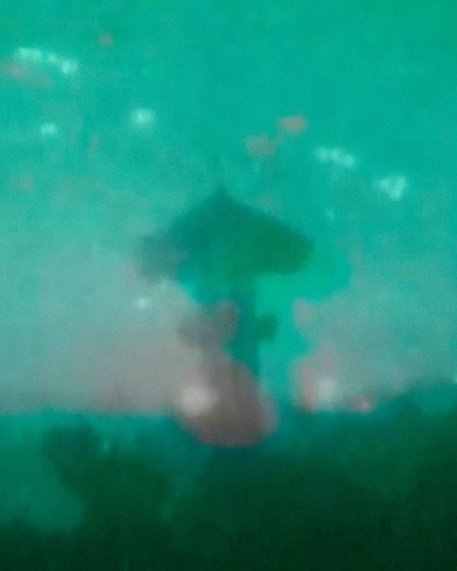 © Sofia Noce - Screenshot, Line of Fire, 2002: La guerra del Golfo 1991.