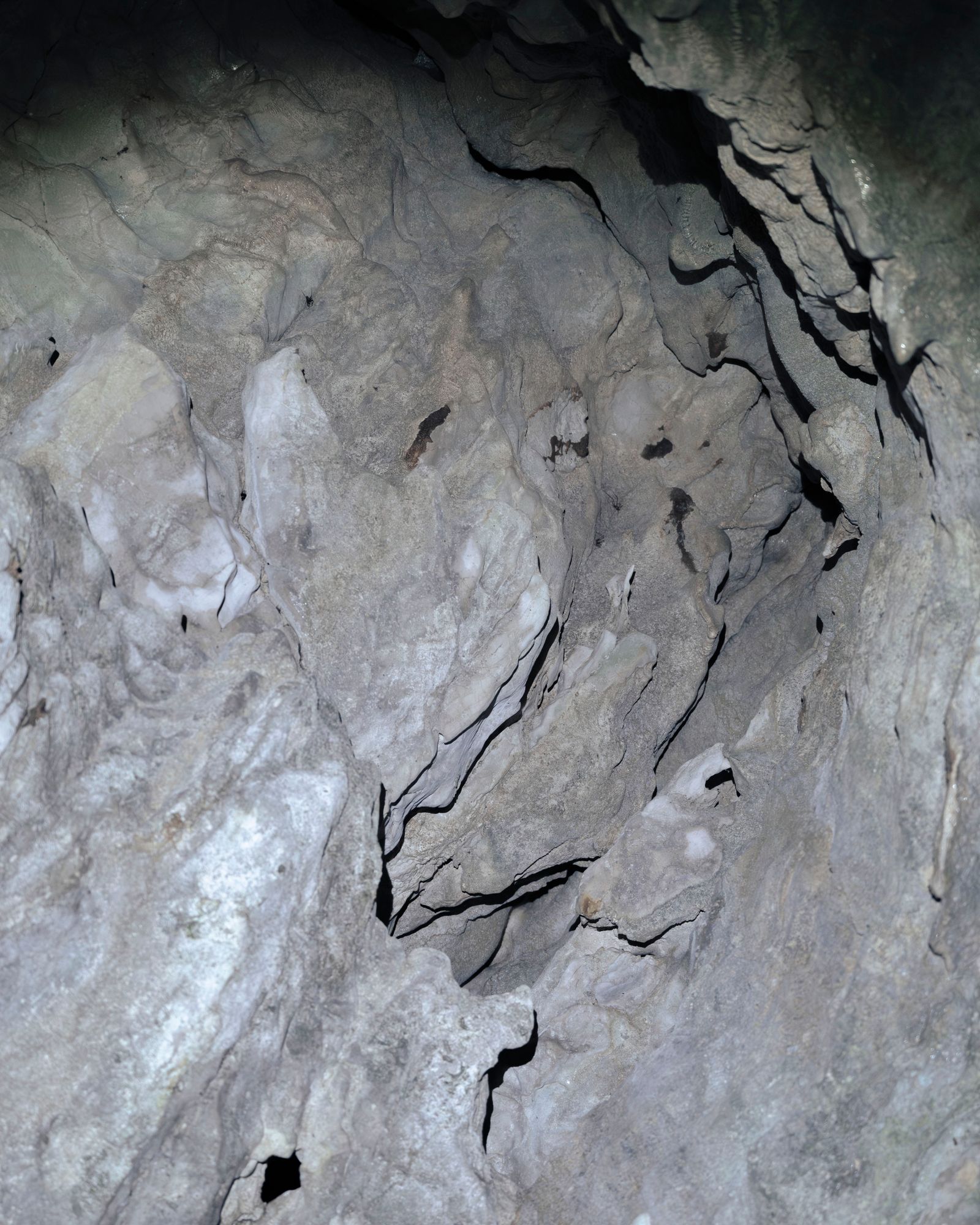 © Sofia Noce - Detail inside the karst abyss located on the Erdigheta plateau, Monte Semprevisa (LT).