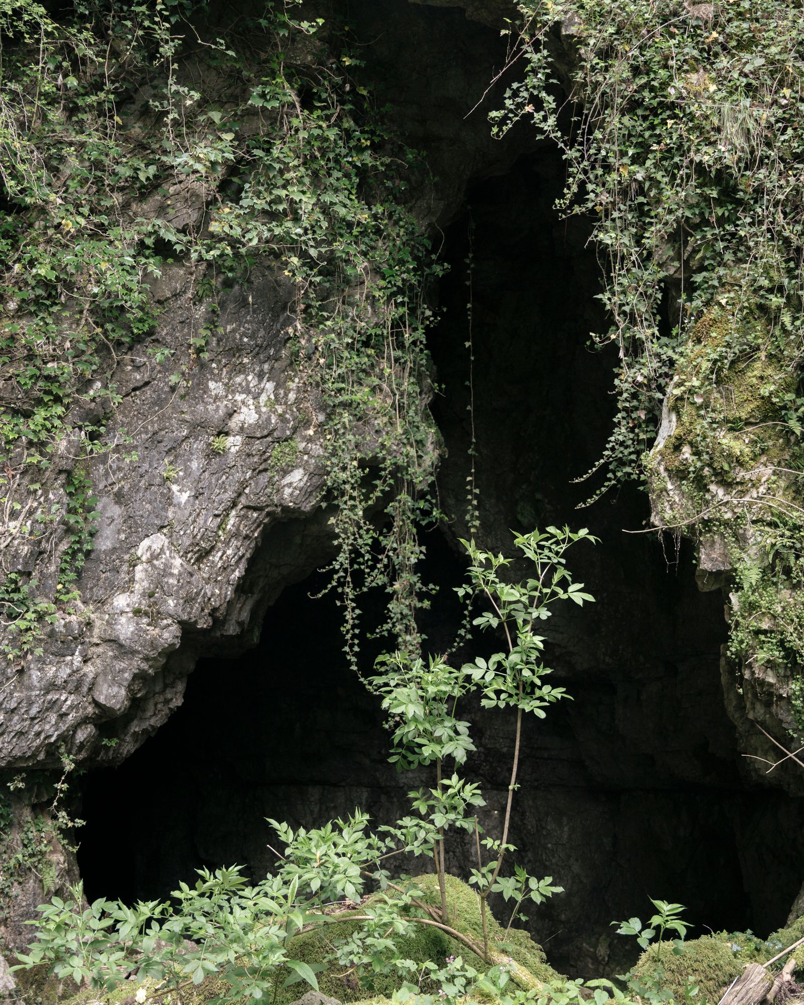 © Sofia Noce - Main entrance to the Pozzo Comune abyss, Carpineto Romano (RM).