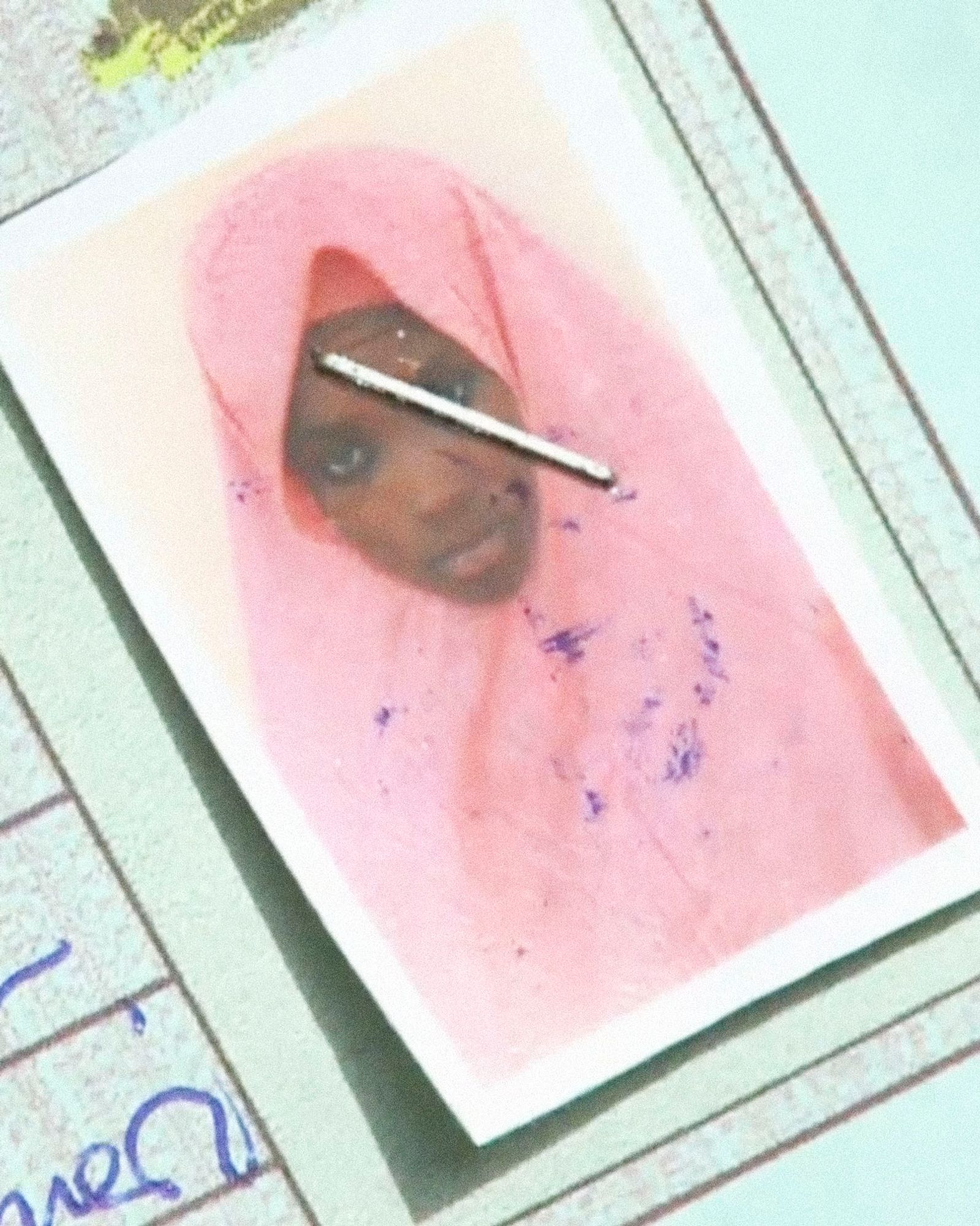 © Sofia Noce - Screenshot, Boko Haram frees a group of kidnapped Nigerian schoolgirls.