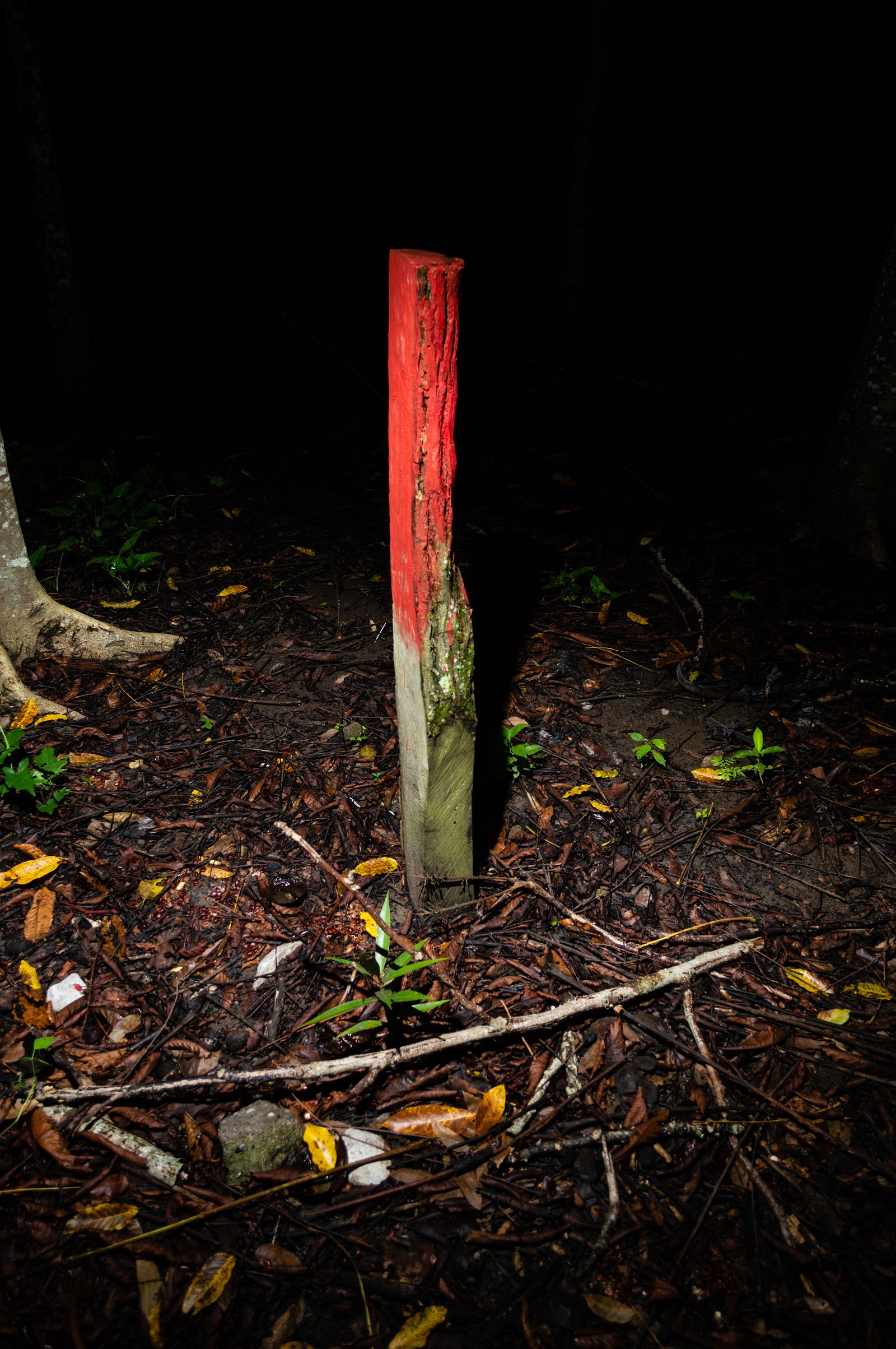 © Arturo Velázquez Hernández - Image from the On the verb "to disappear" photography project