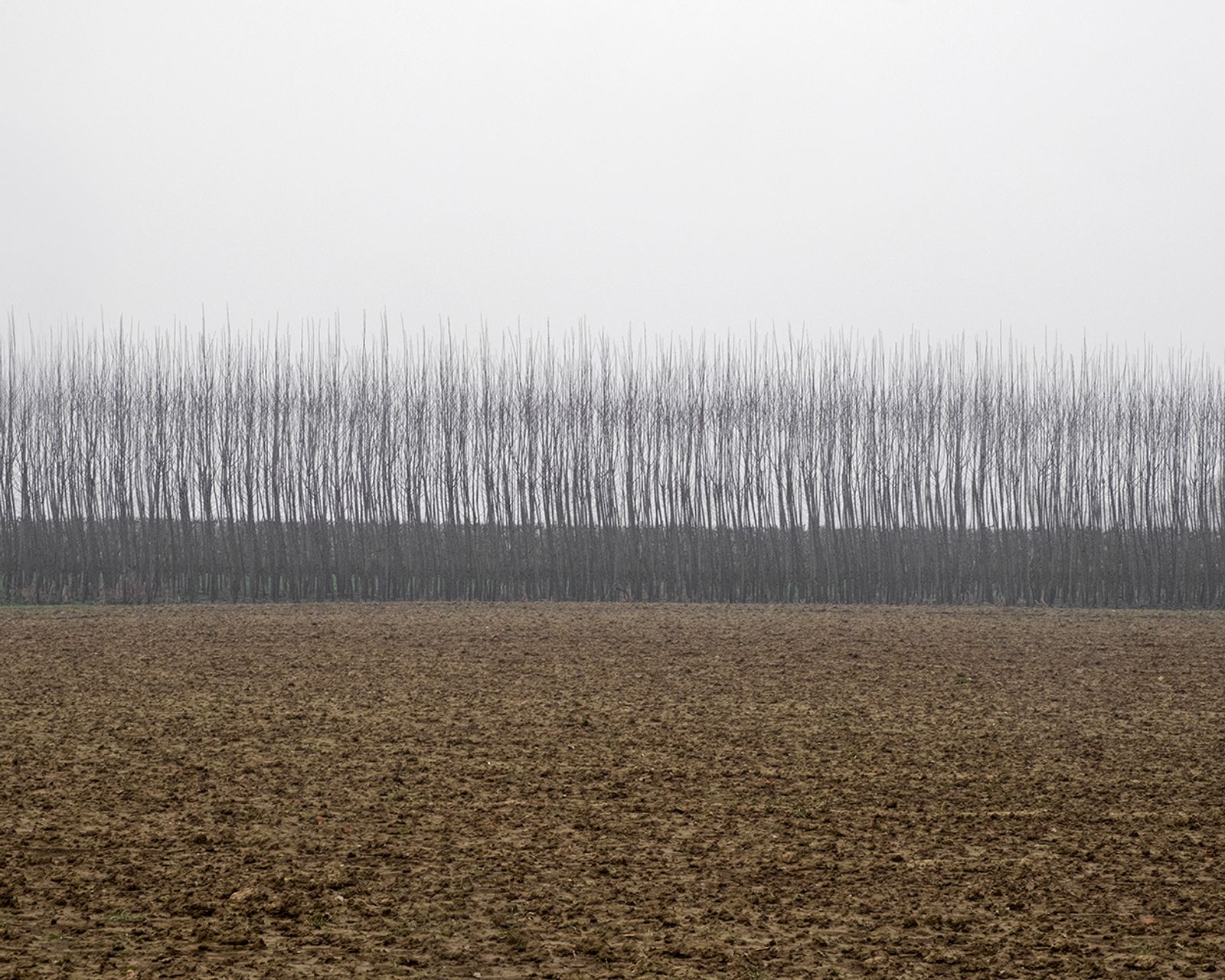 © Paolo Patrizi - Image from the The Po Valley photography project